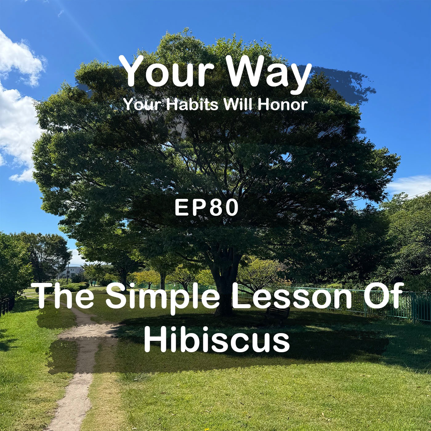 The Simple Lesson of Hibiscus | #80 Koji Ohata episode artwork