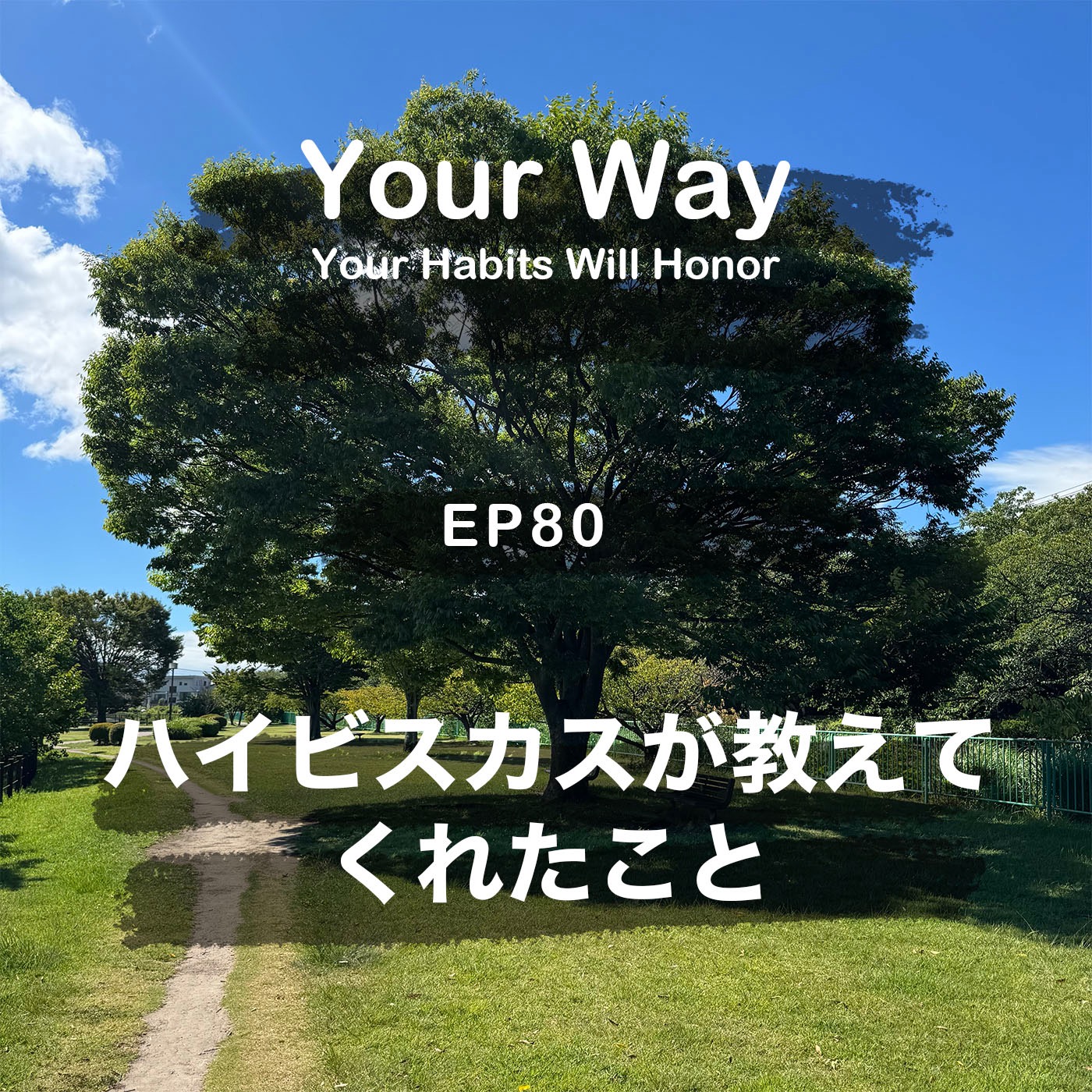 庭のハイビスカスが教えてくれたこと：いつ咲いて、いつ身を守るべきかを知る | #80 こーちゃん★ episode artwork