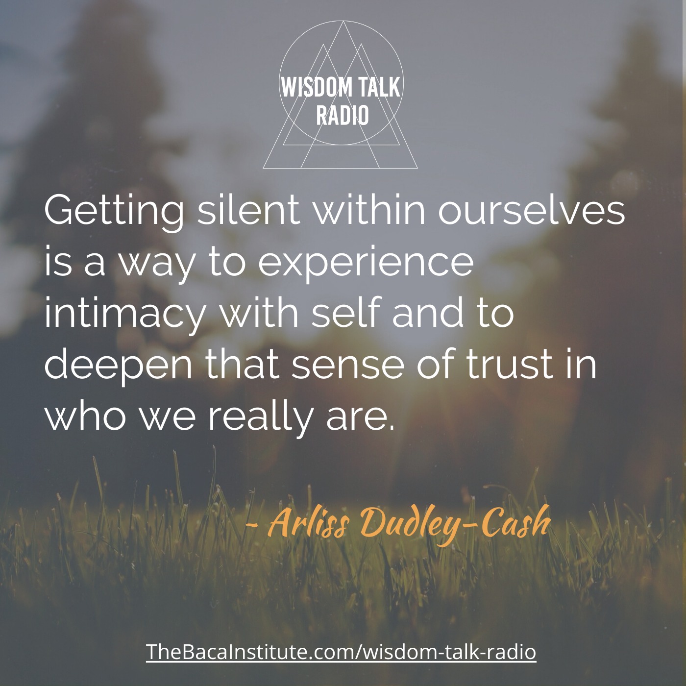 The Profound Impact of Silence; a Conversation with Arliss Dudley-Cash episode artwork
