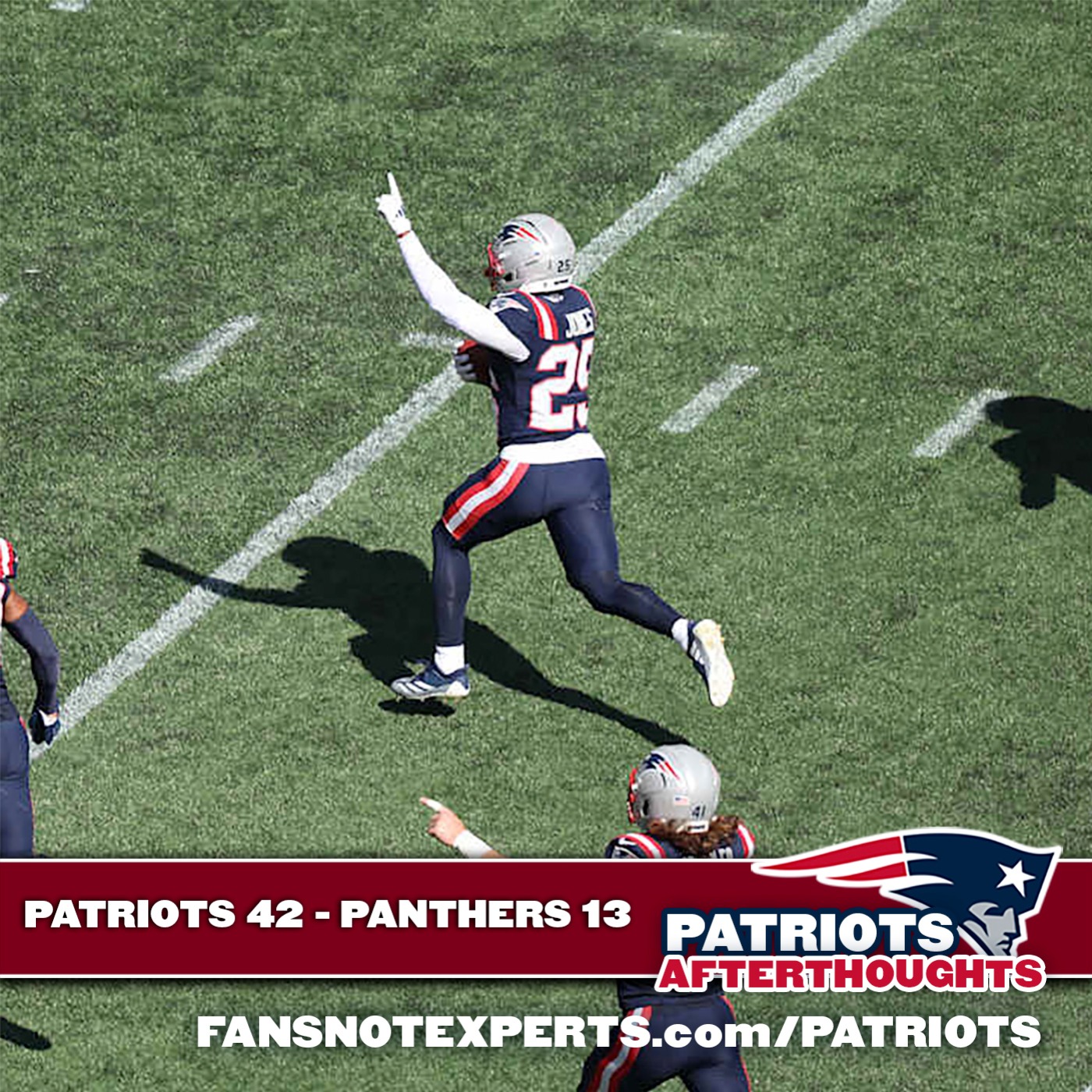 DOMINATION: Patriots 42 - Panthers 13