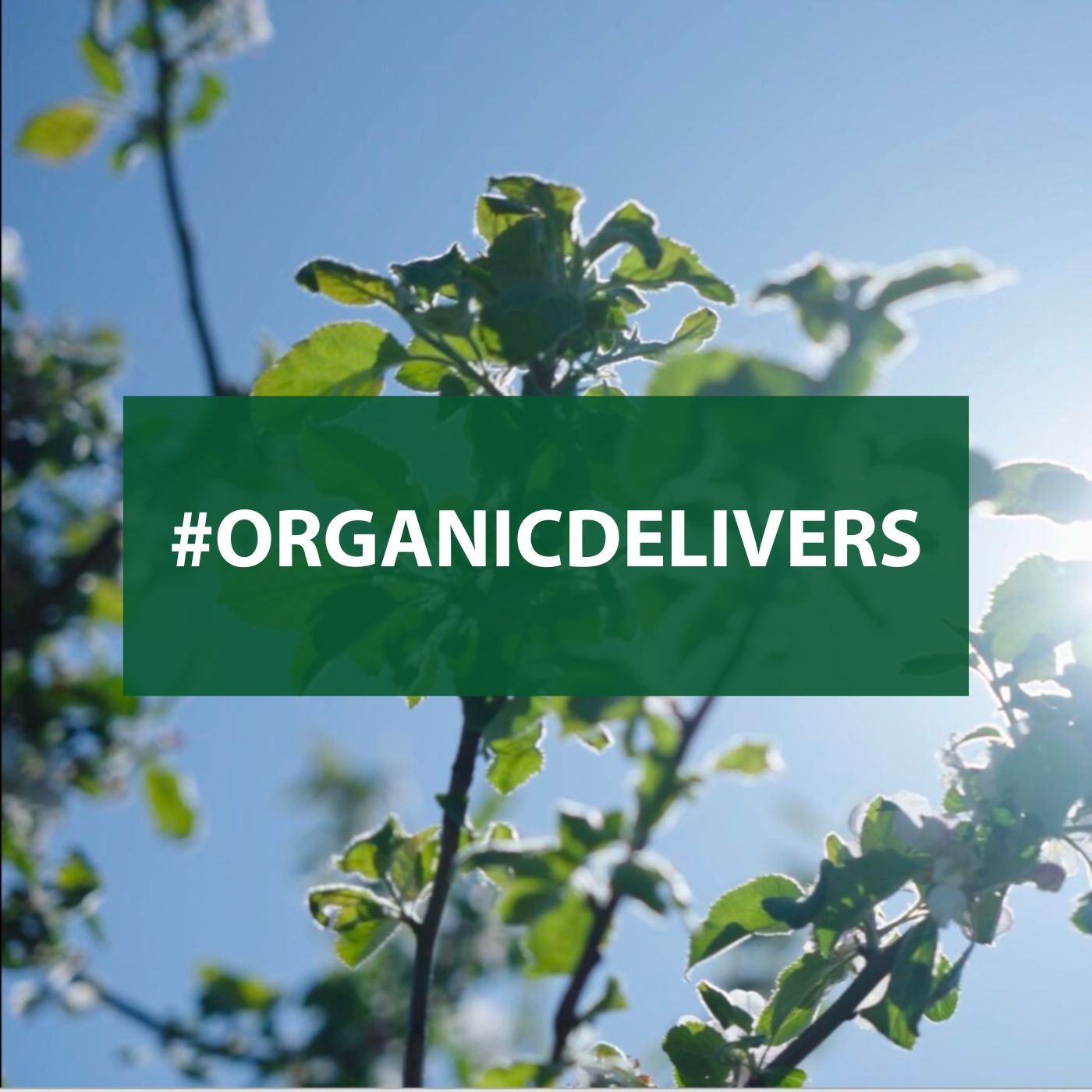 #OrganicDelivers - The long tour