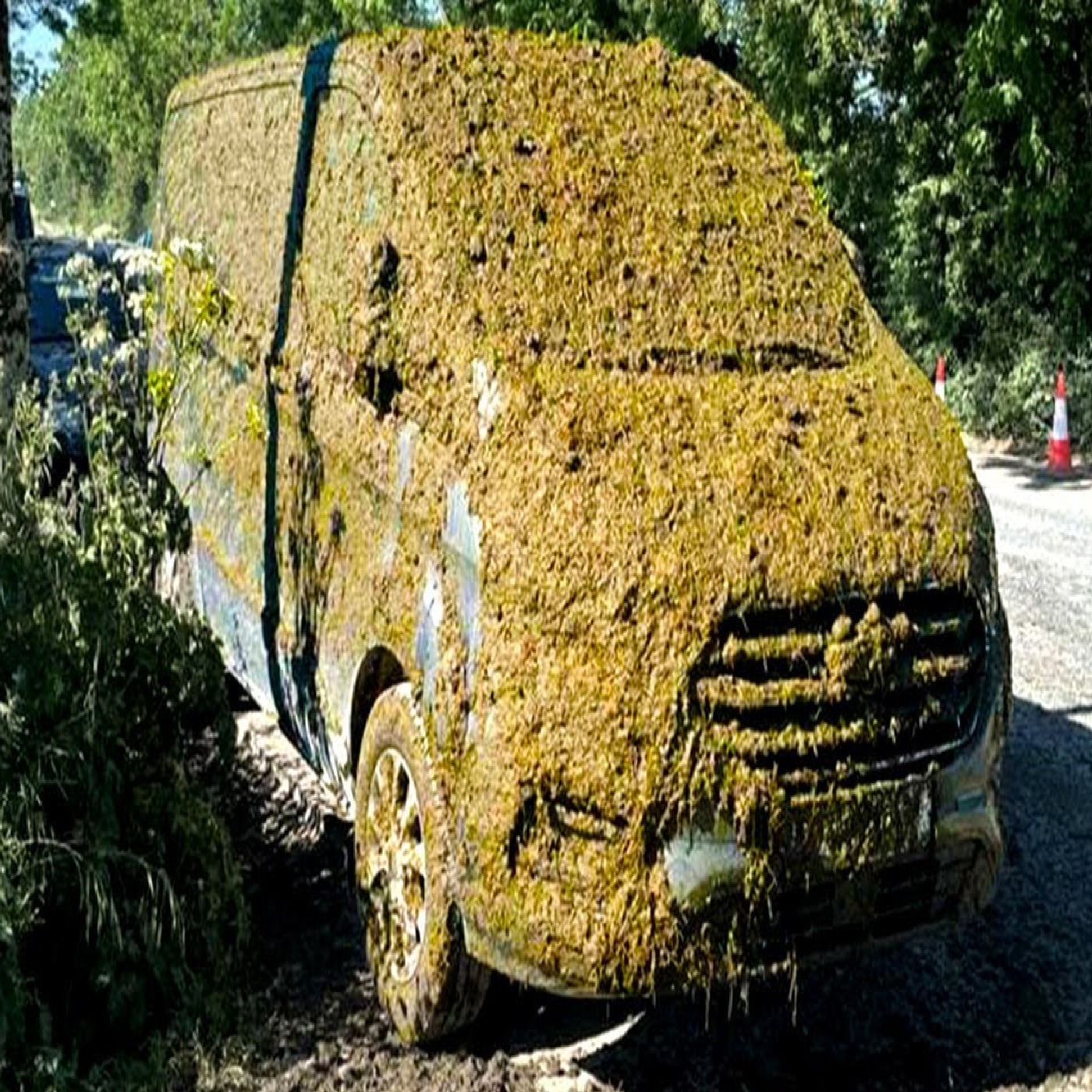 Awesomely Passive Aggressive Ways People Got Revenge – Part 5