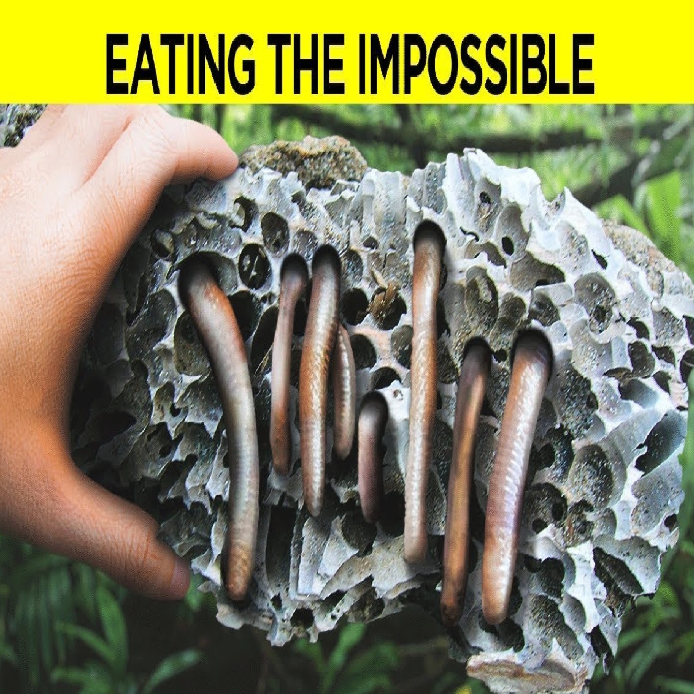 Animals Evolved to Eat Deadly Food