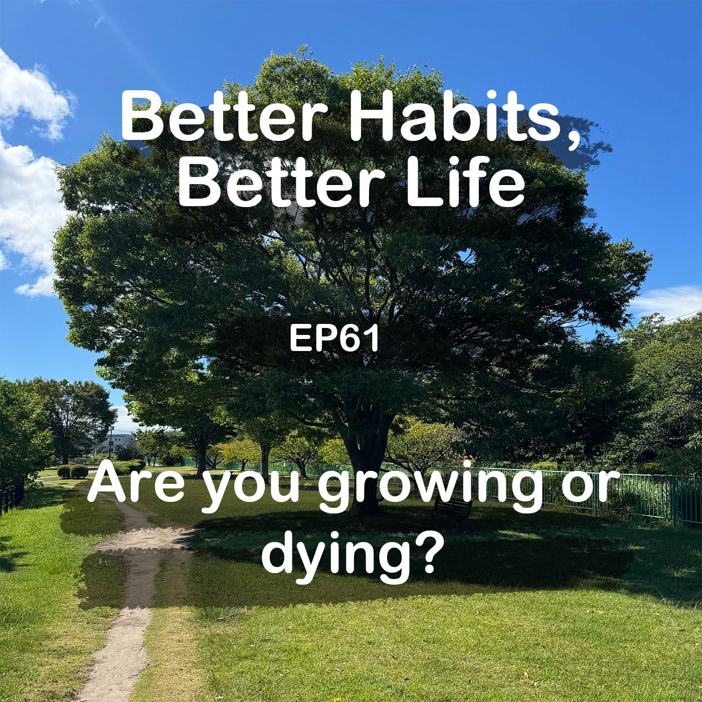 Are you growing or dying? Work-out vitalizes your body and mind | #61 Koji Ohata episode artwork