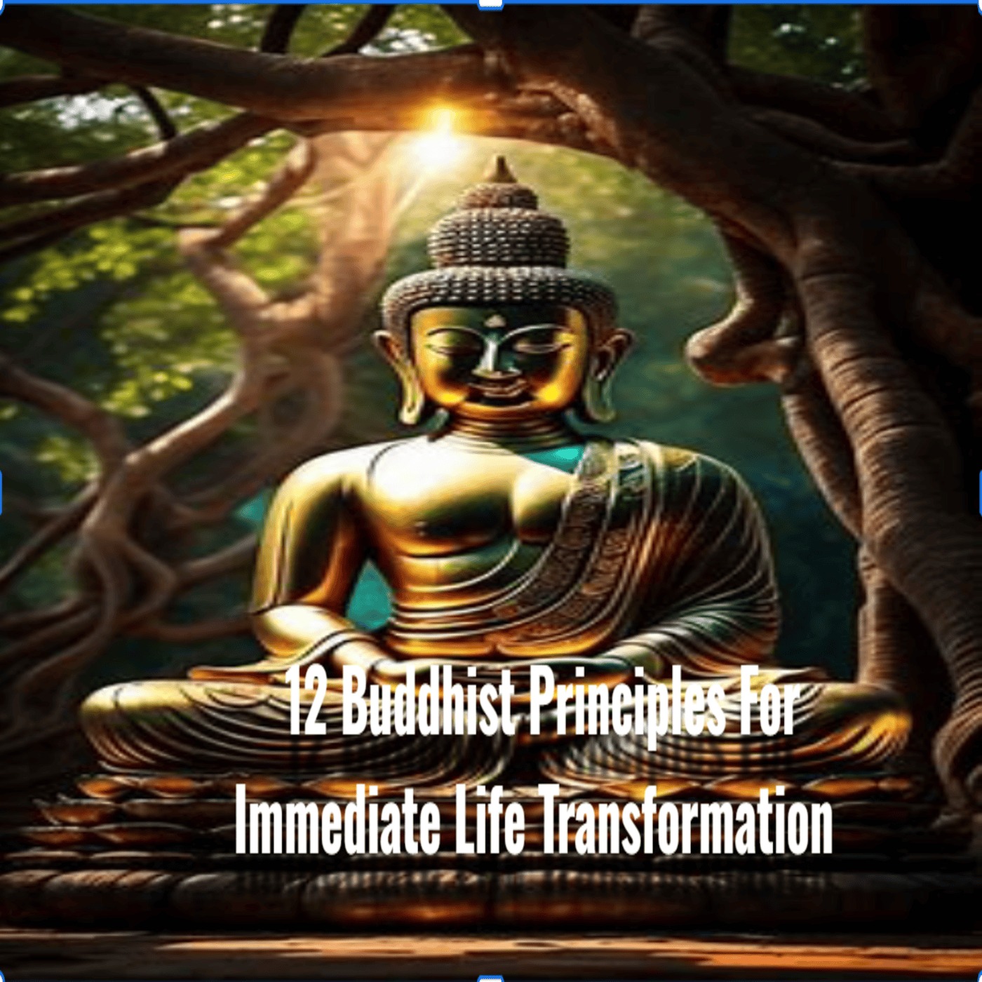 Buddhism Wisdom