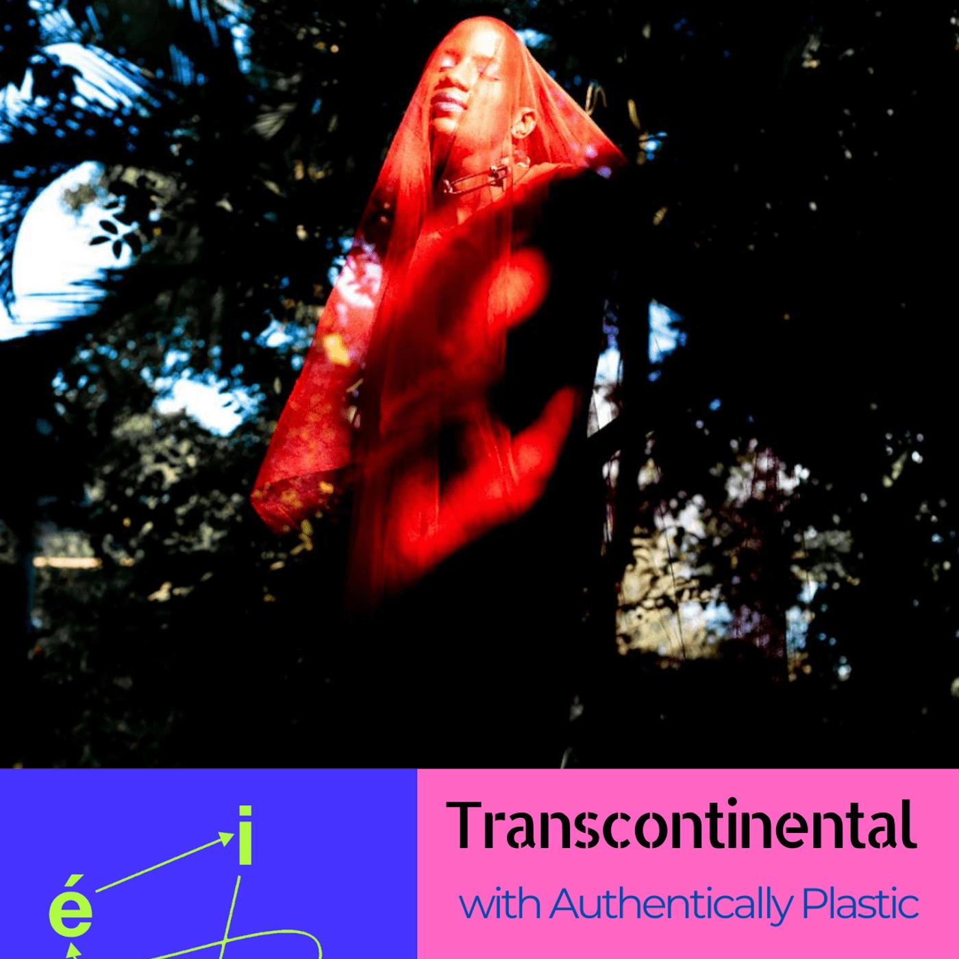 Transcontinental | Authentically Plastic episode artwork