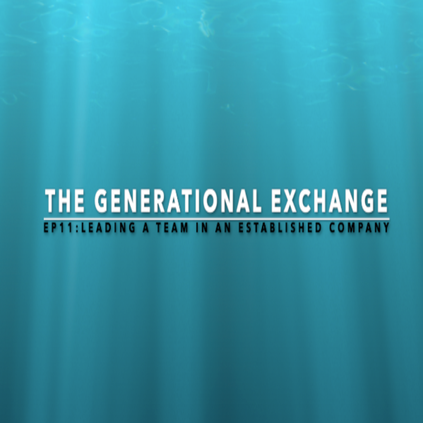 Leading in an established company