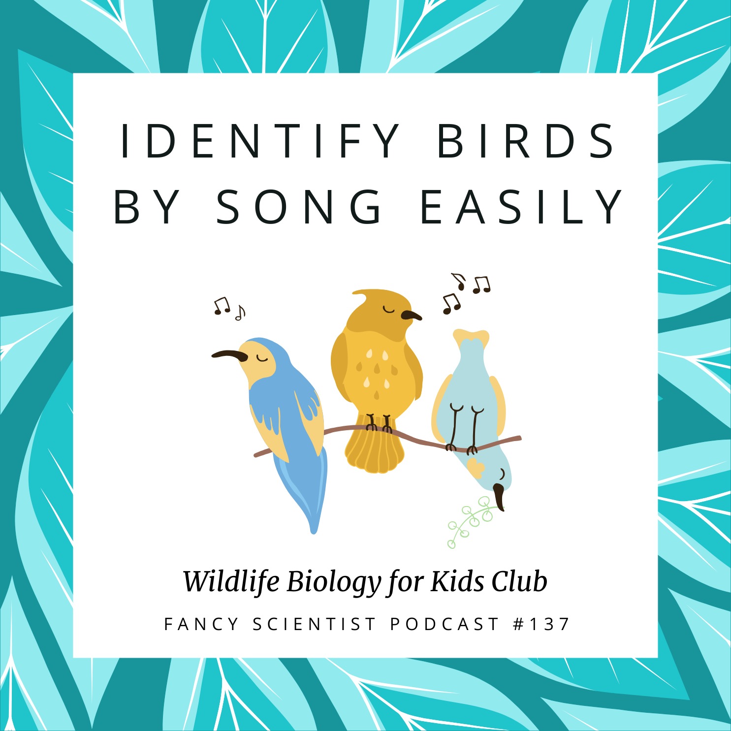 Identify Birds by Song EASILY! | Wildlife Biology for Kids Club