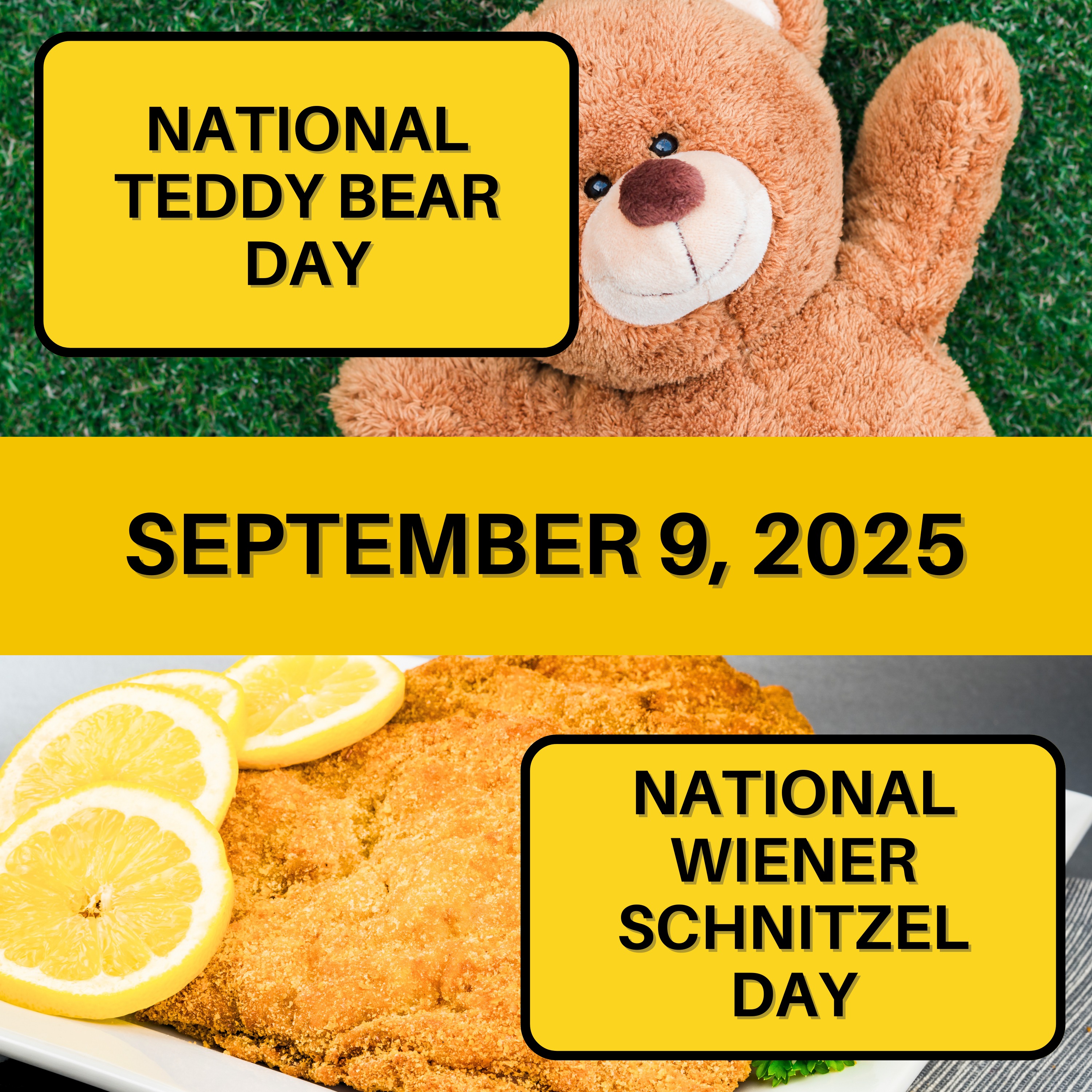 National Teddy Bear Day & National Wiener Schnitzel Day