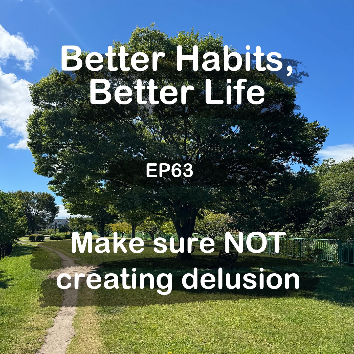 Make sure you are NOT creating a delusional world | #63 Koji Ohata episode artwork