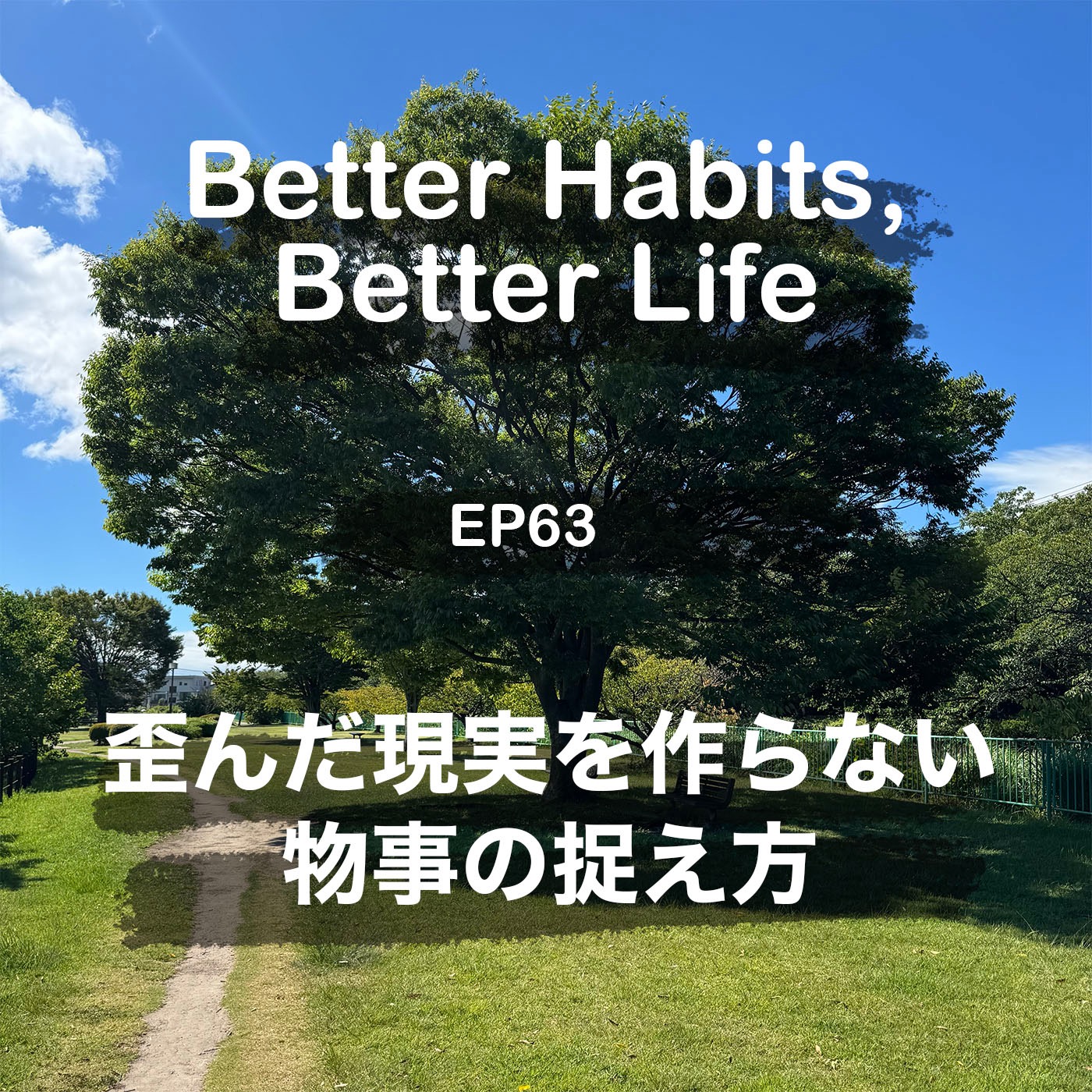 歪んだ現実を作らない物事の捉え方 episode artwork