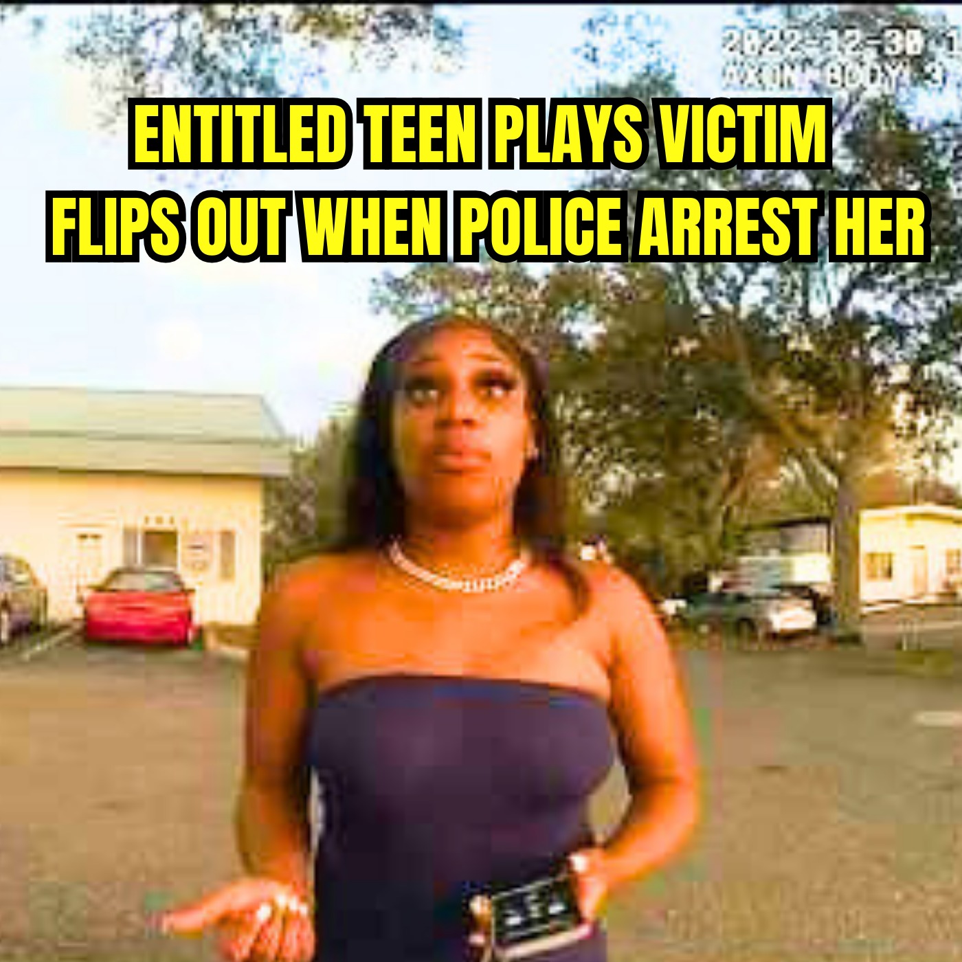 Entitled Teen Plays Victim, Flips Out When Police Arrest Her
