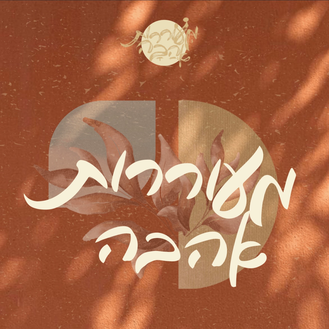 מעוררות אהבה | מחזור ג׳