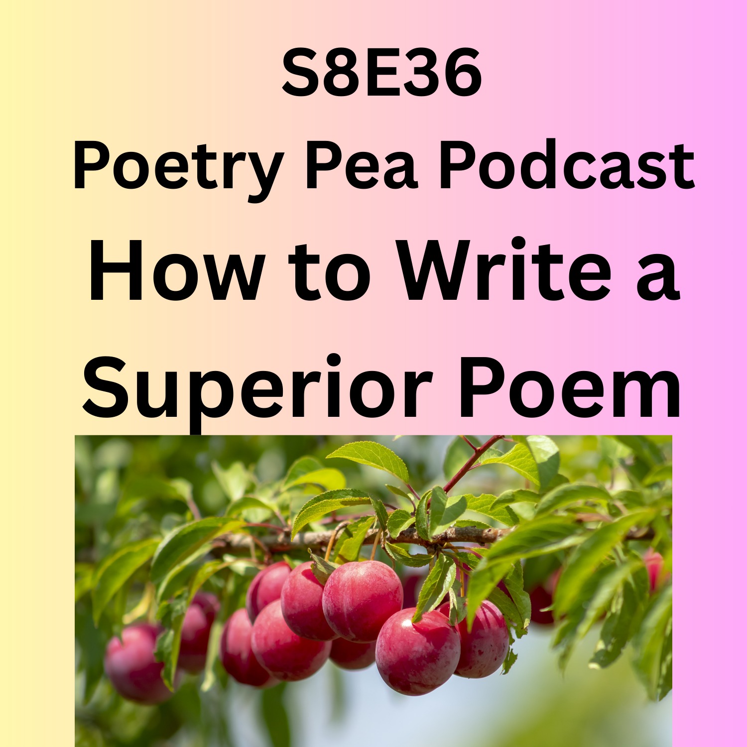 S8E36 How to Write a Superior Poem