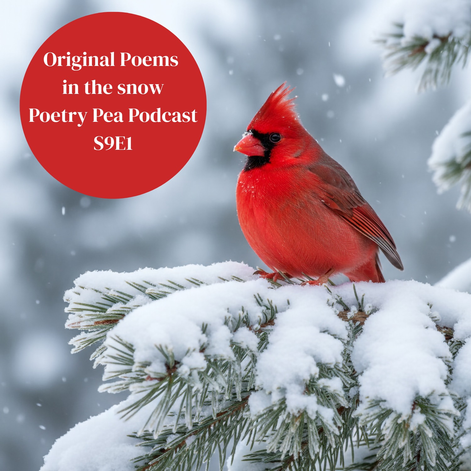 S9E1 Poetry Pea Podcast featuring Original Poems from a Snowy Video Prompt