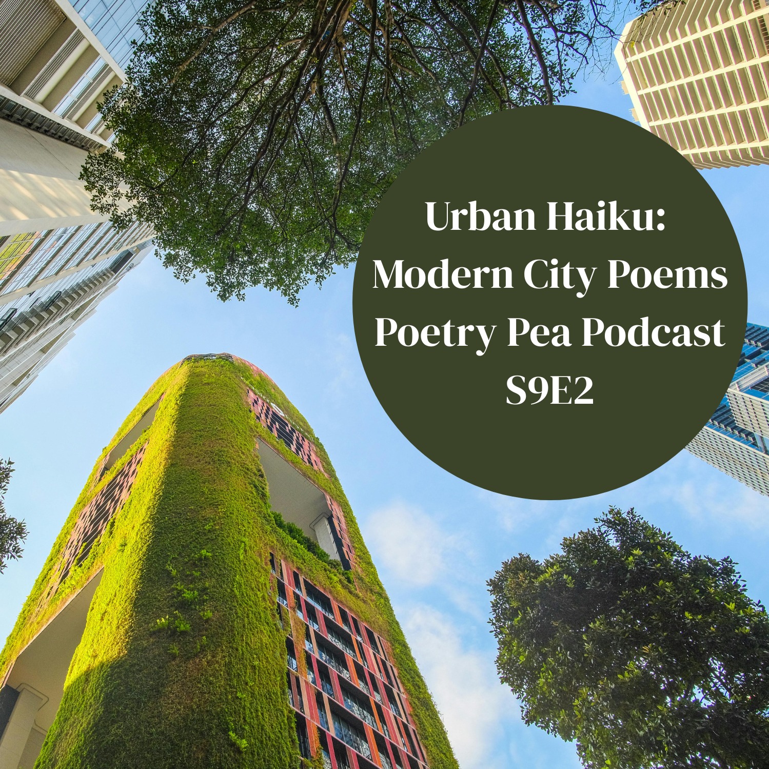 S9E2 Writing Urban Haiku: City Life in Short Poetry
