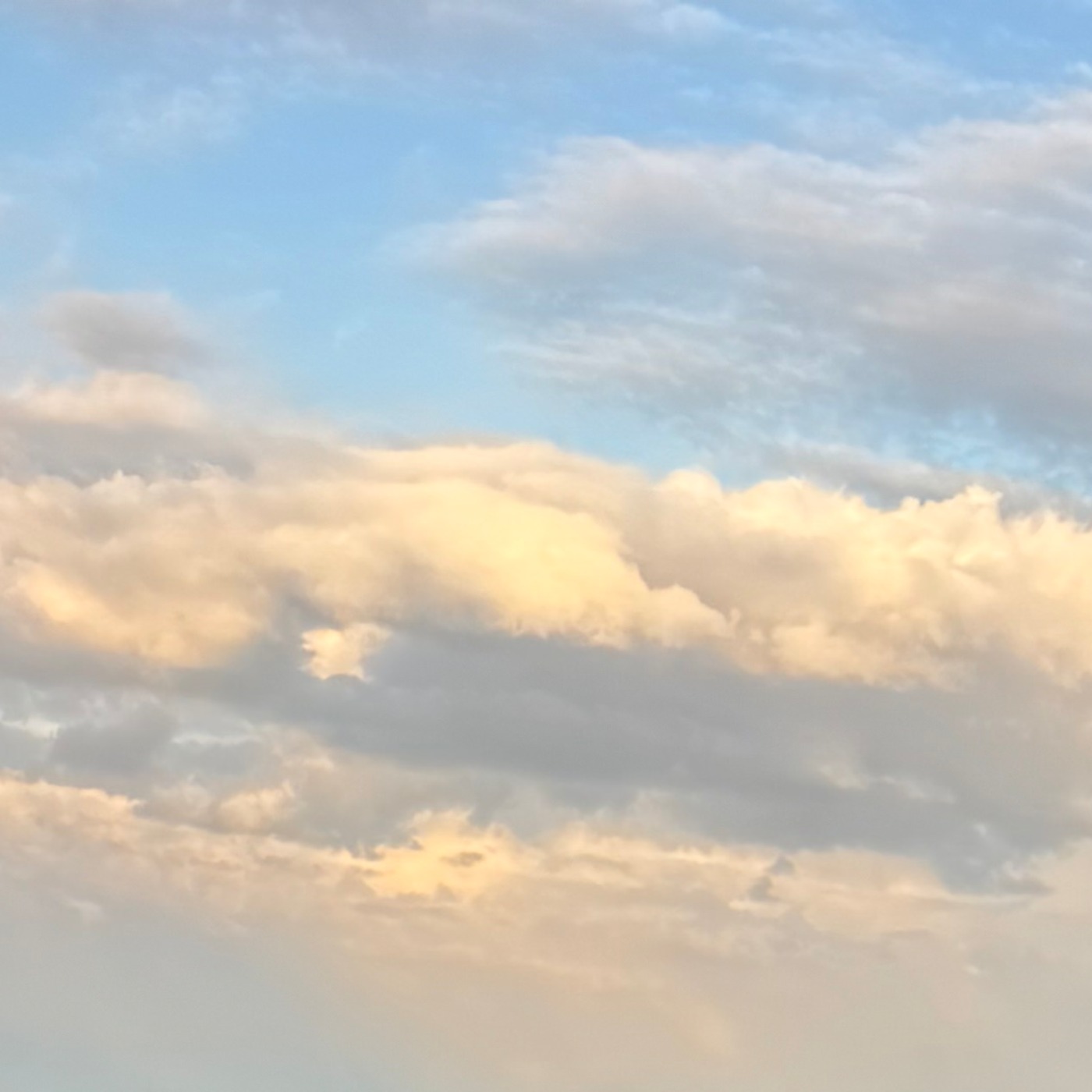 Bk. 1, Pt. 3., Ch. 16: Oh, Chapter of Chapters!