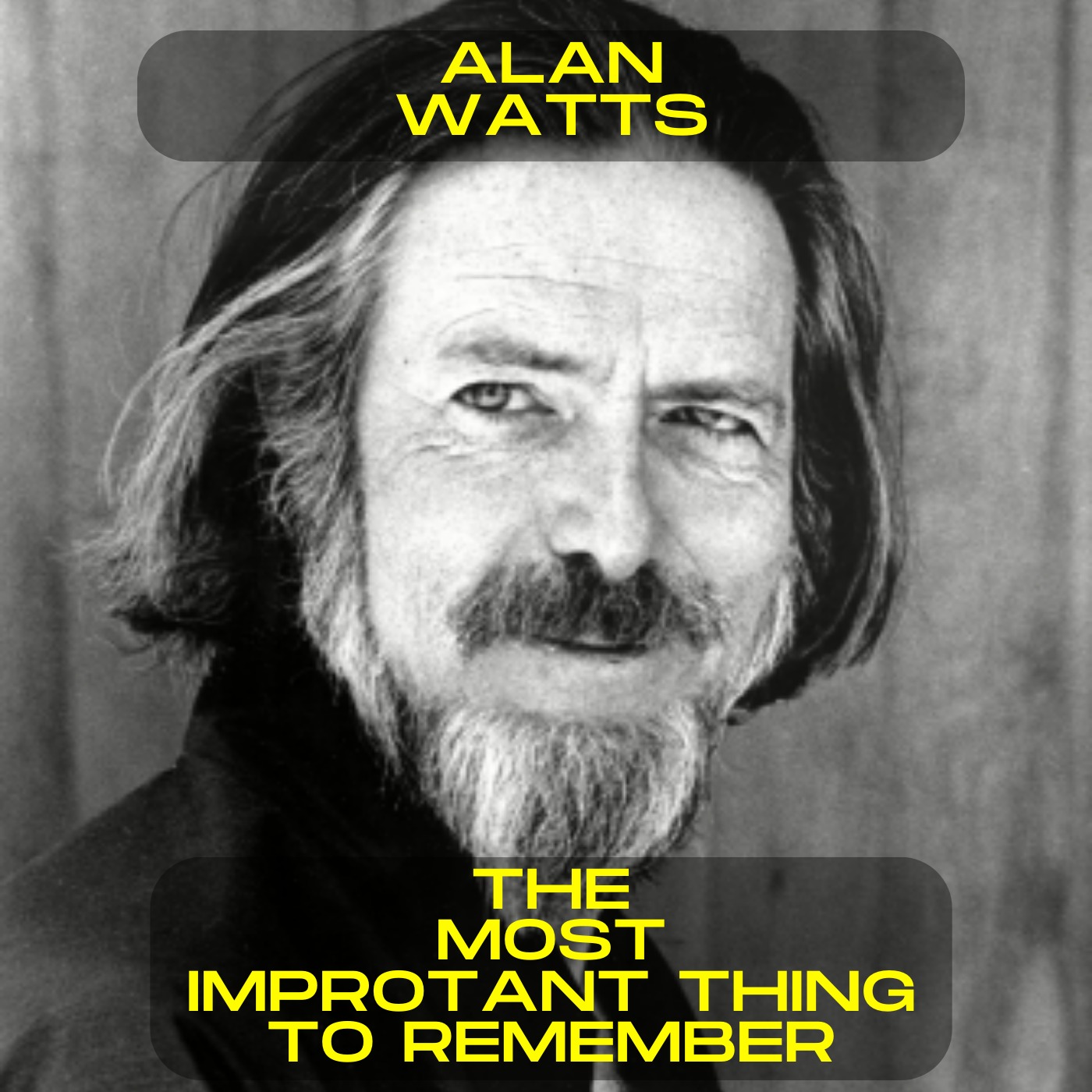 Alan Watts - The most important thing to remember motivational speech
