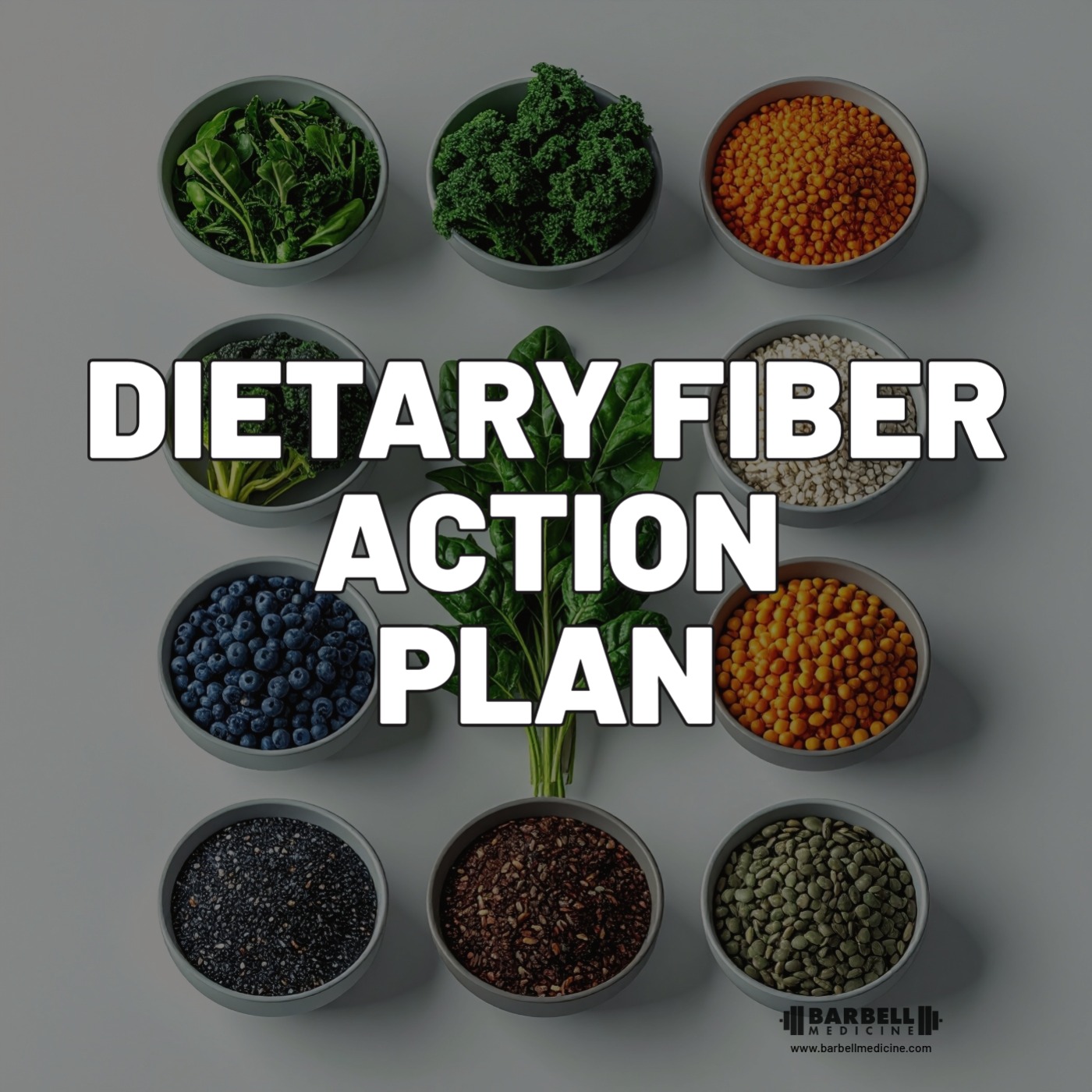 Trailer: The Fiber Action Plan is Here