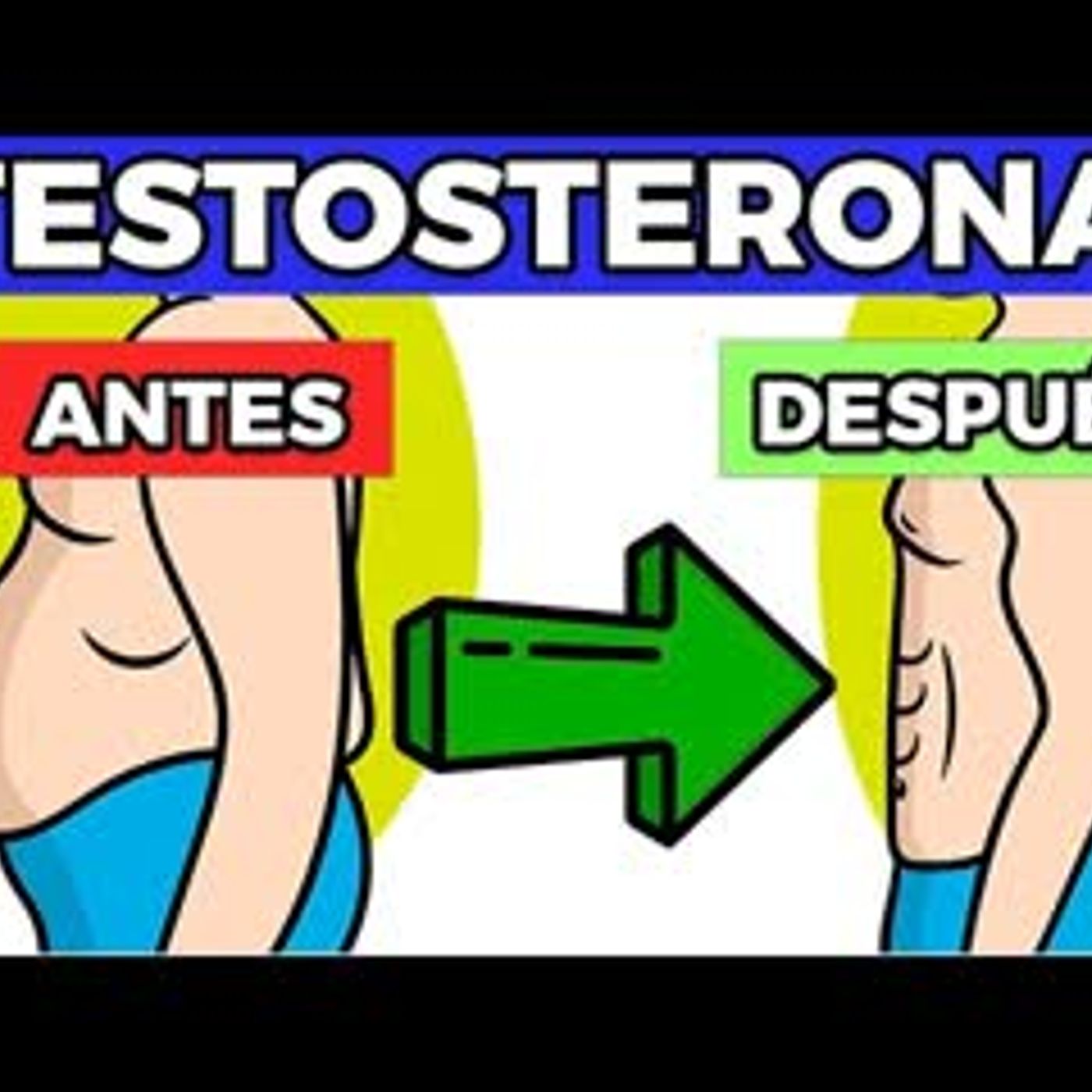 Cómo Aumentar Tu TESTOSTERONA Naturalmente