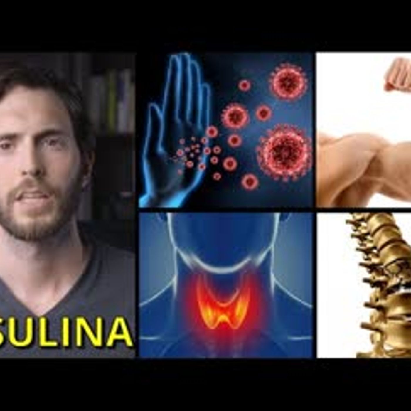 ¿Por qué NECESITAMOS INSULINA? El peligro de restringir en exceso