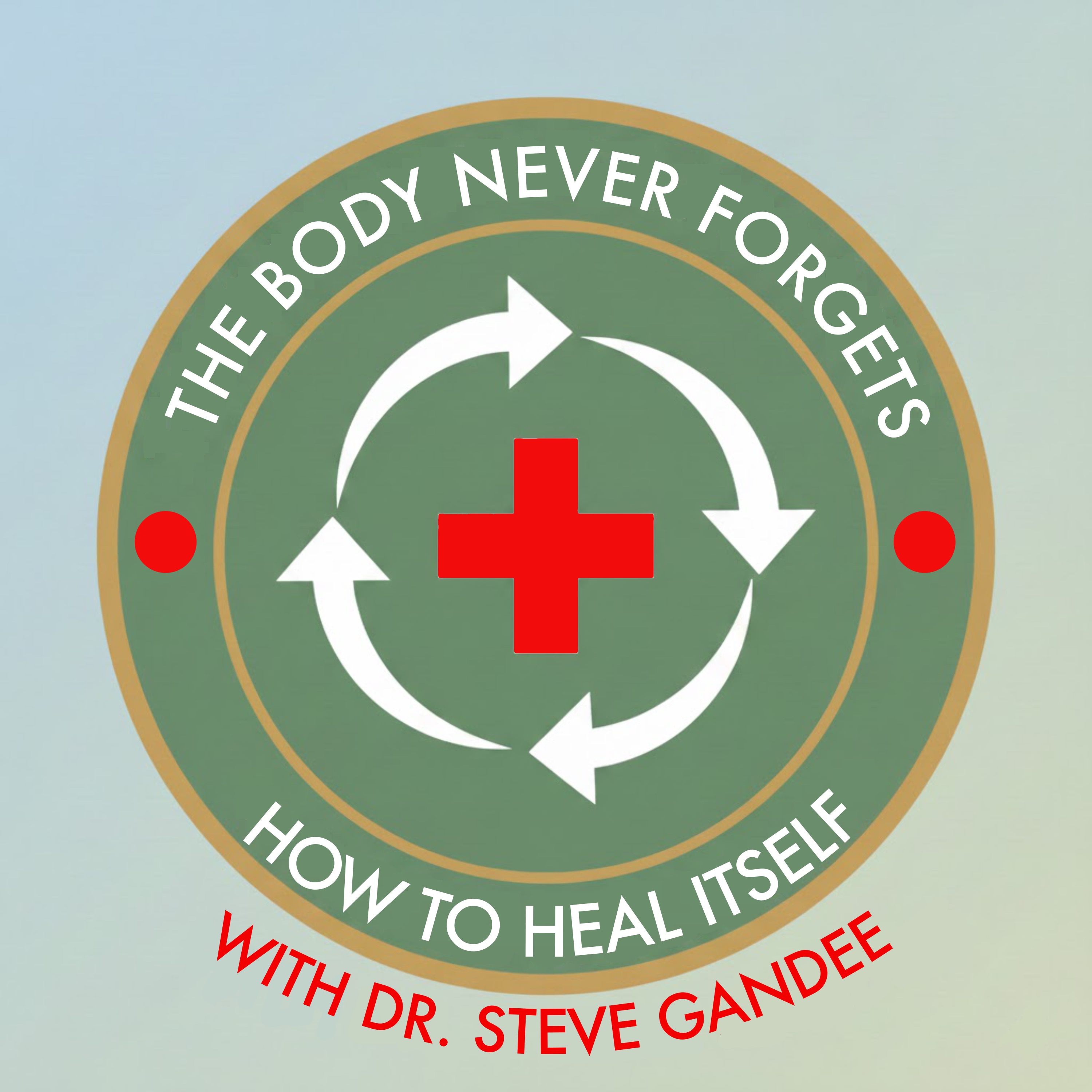 The Body Never Forgets How to Heal Itself with Dr. Steve Gandee