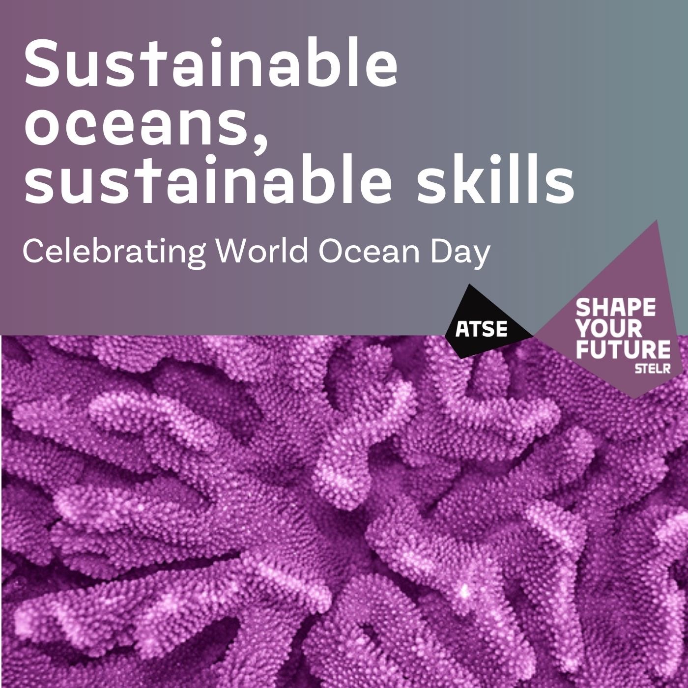 Sustainable oceans, sustainable skills - Celebrating World Ocean Day episode artwork