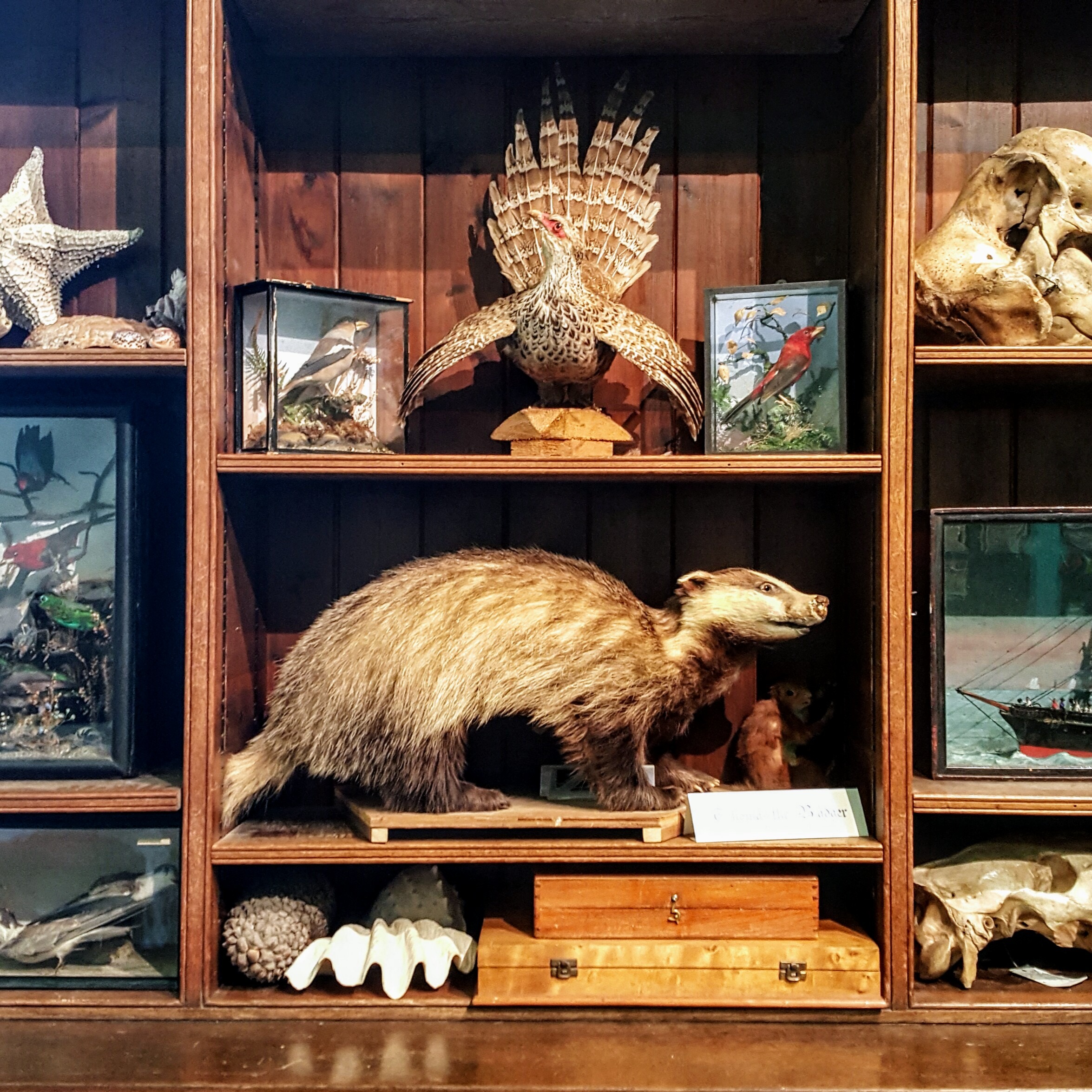 Everyday Curiosities