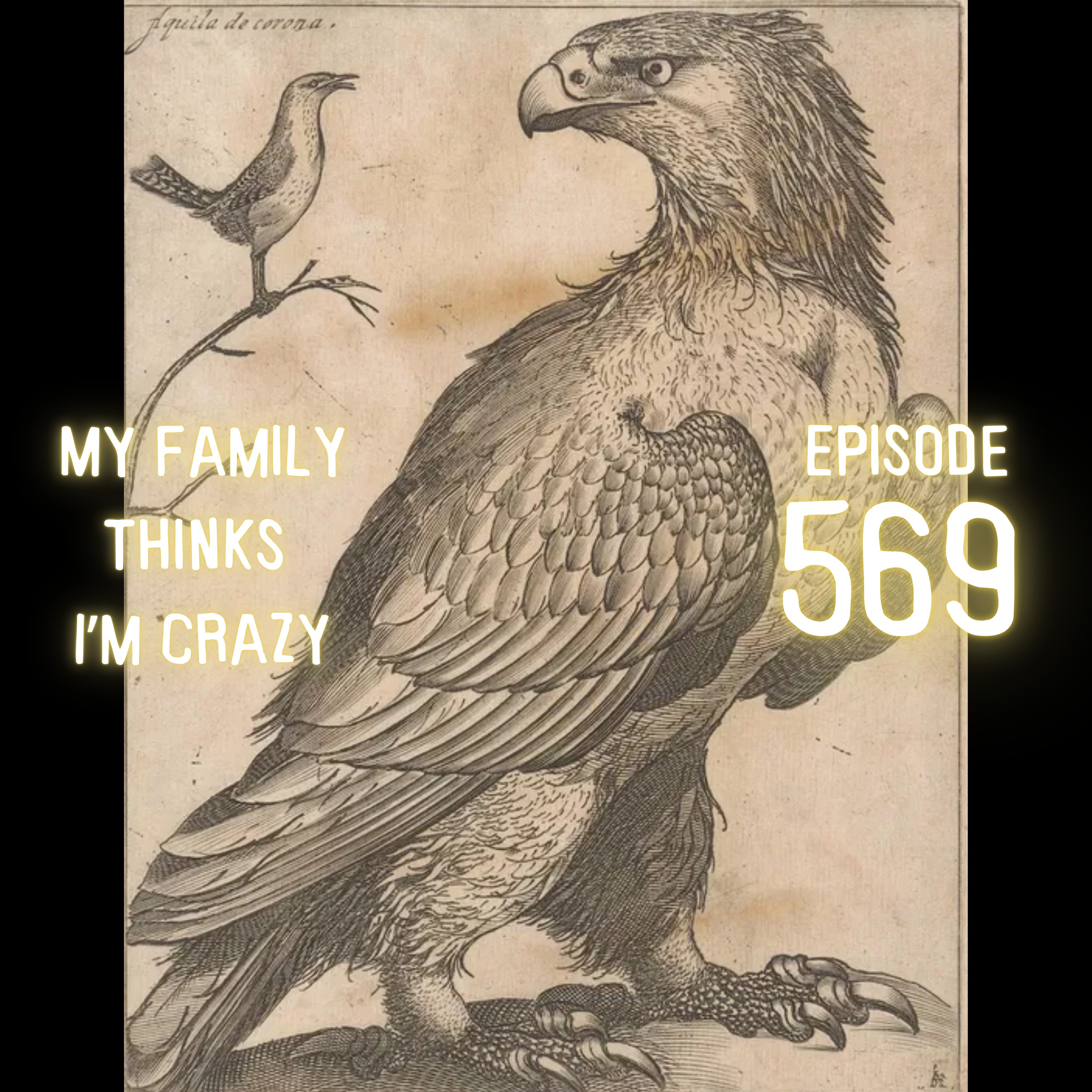 Master Nick Eagle | Go To The Mountains! The Laws of Enlightenment and Alien Artifacts