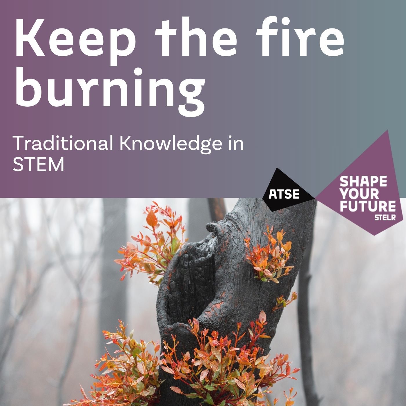 Keep the fire burning - Traditional Knowledge in STEM episode artwork