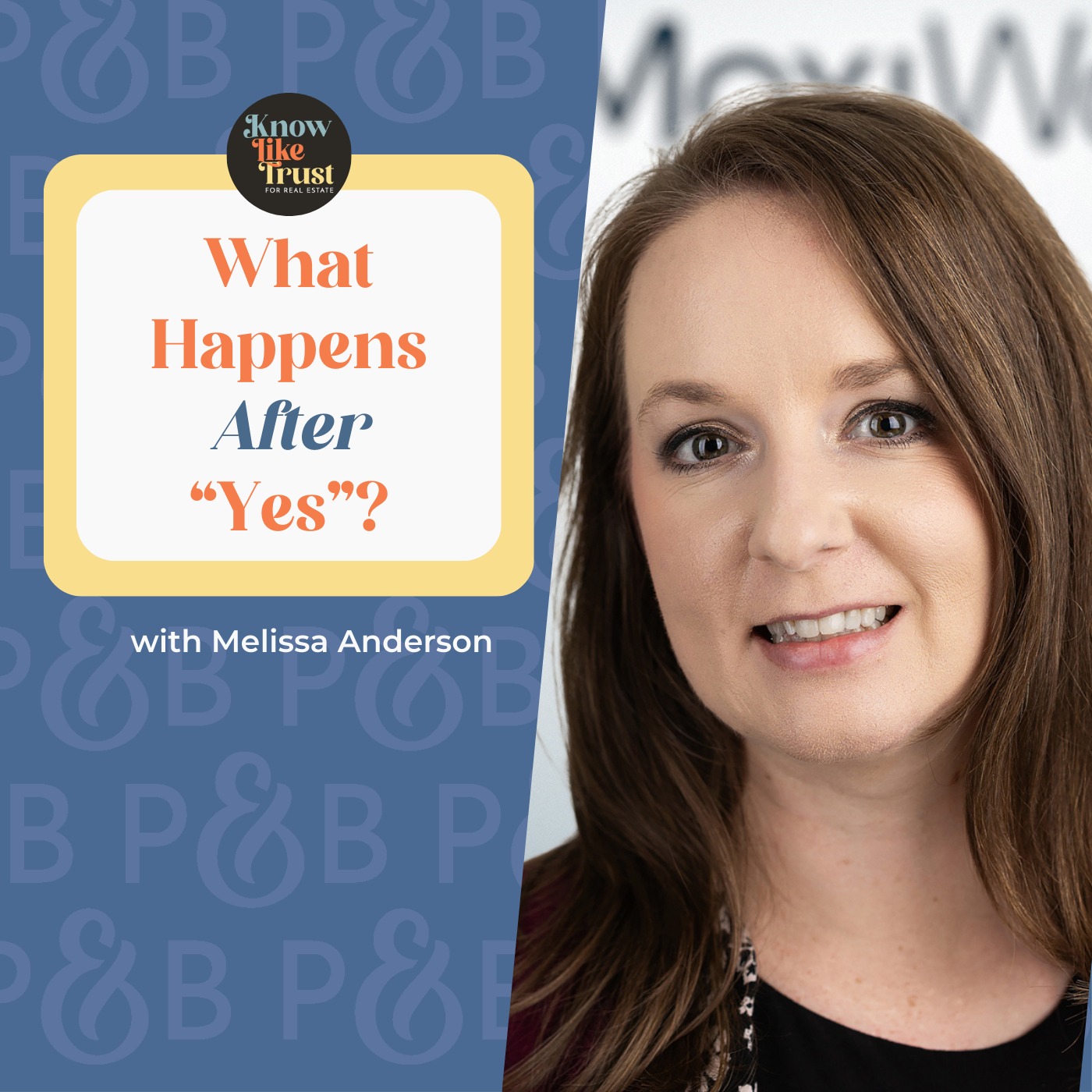 Customer Experience After the Sale: How Real Estate Agents Build Trust, Reduce Friction, and Earn Referrals episode artwork