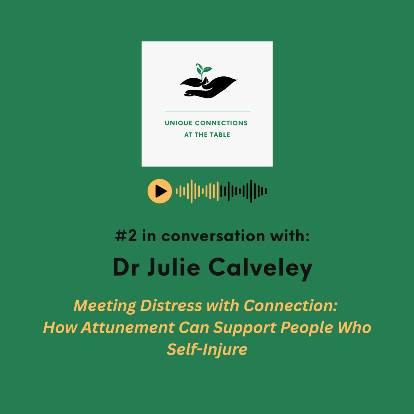 #2 In conversation with: Dr Julie Calveley episode artwork