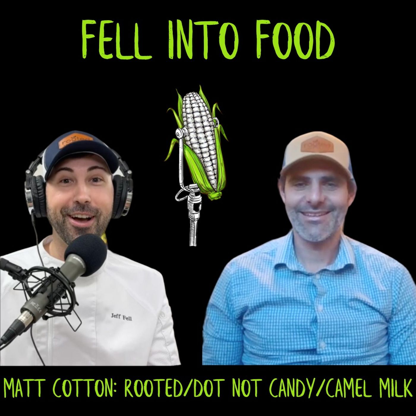 MATT COTTON: ROOTED/DOT NOT CANDY/CAMEL MILK