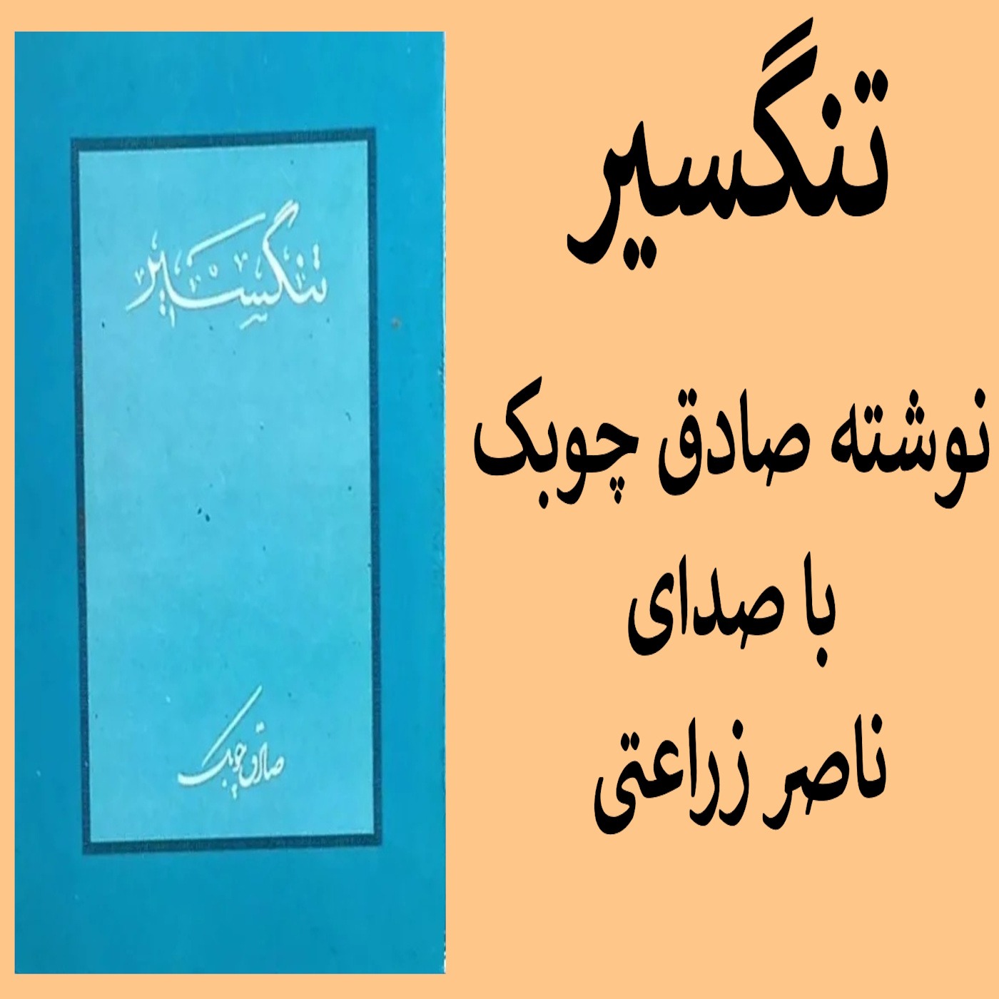 14 - تنگسیر نوشته صادق چوبک ,فایل چهارده,  لغت نامه