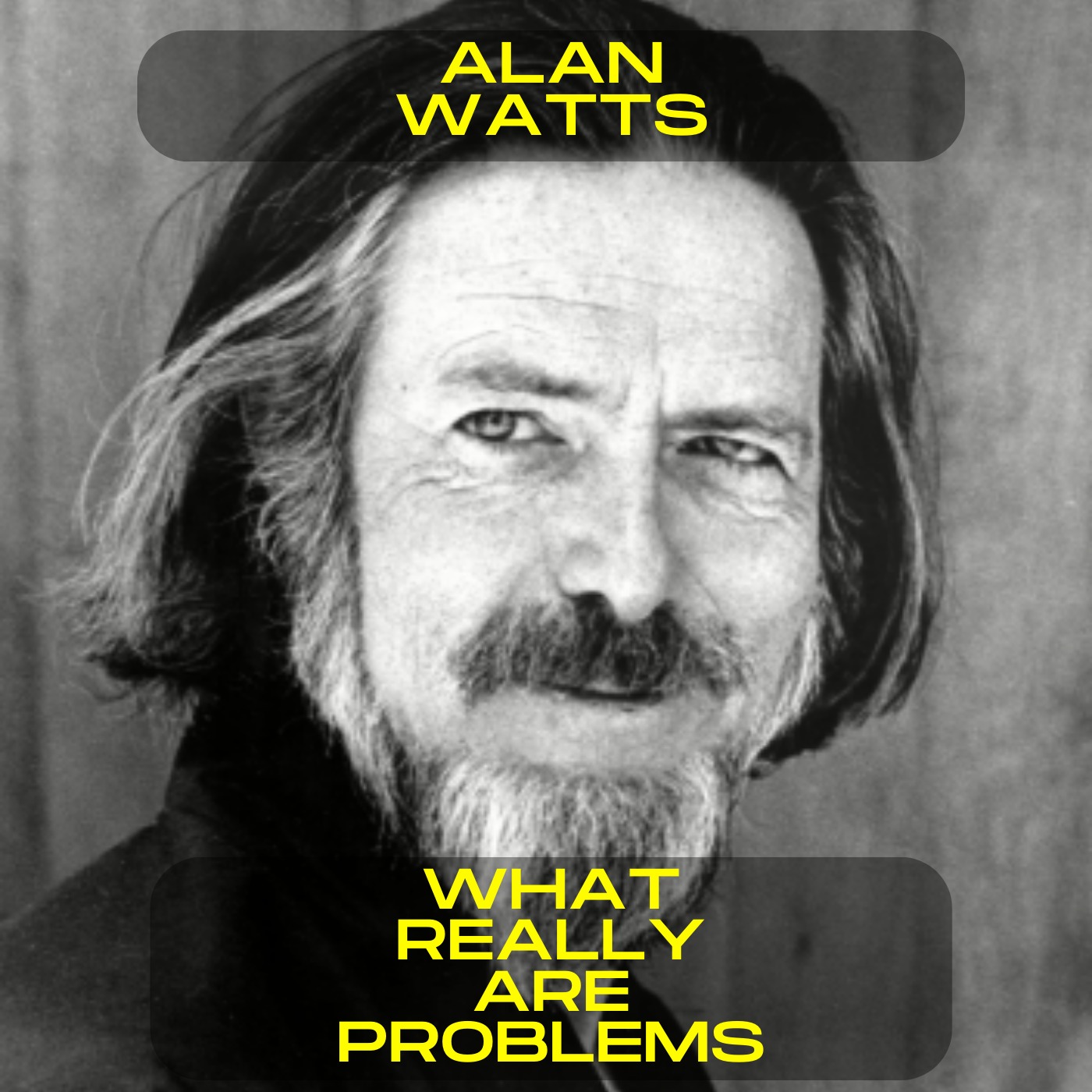 Alan Watts - What really are problems motivational speech