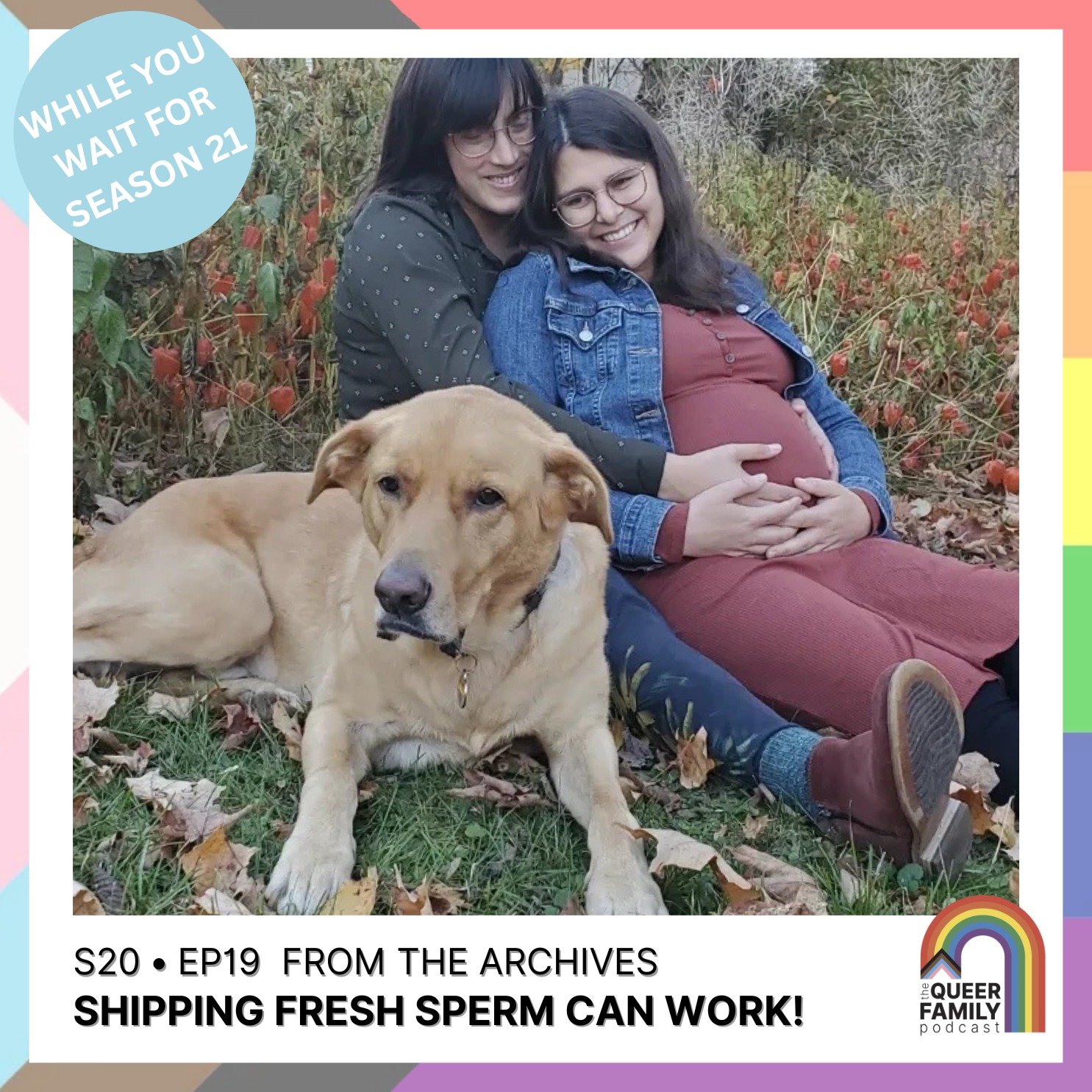 ARCHIVAL: Shipping Fresh Sperm Can Work!