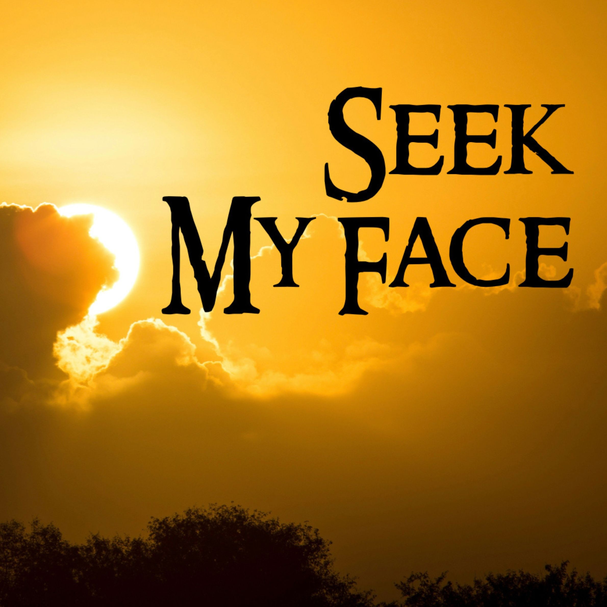 Seek My Face - Bob Turner (01/04/26) episode artwork