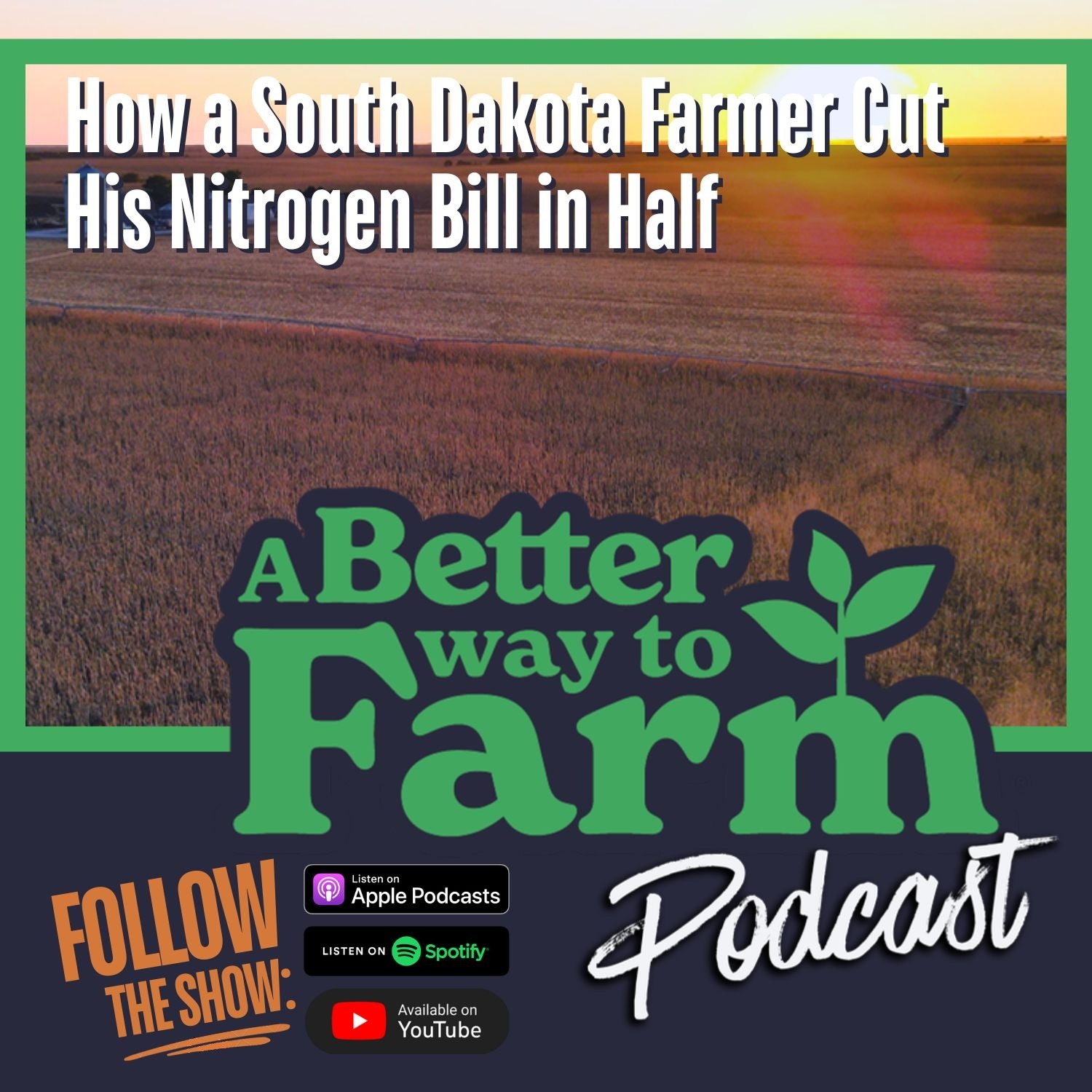 348: How a South Dakota Farmer Cut His Nitrogen Bill in Half