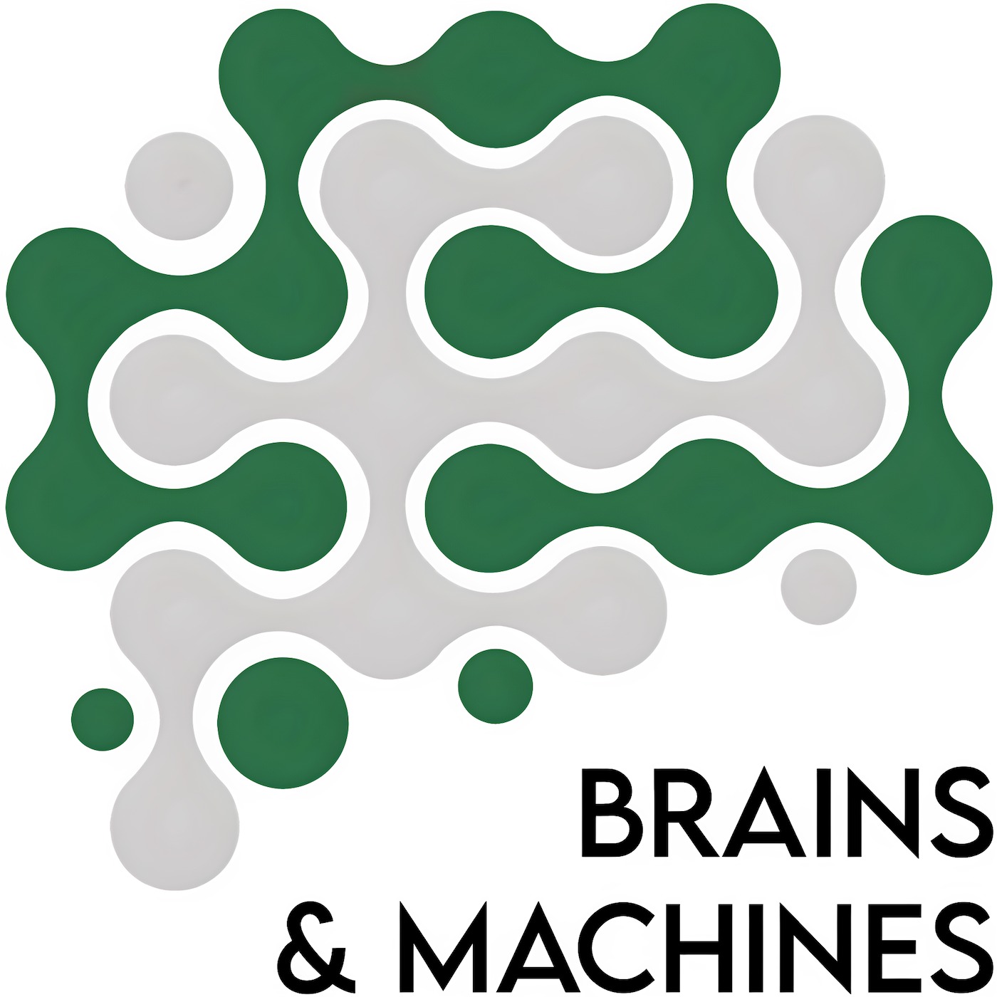 Brains and Machines