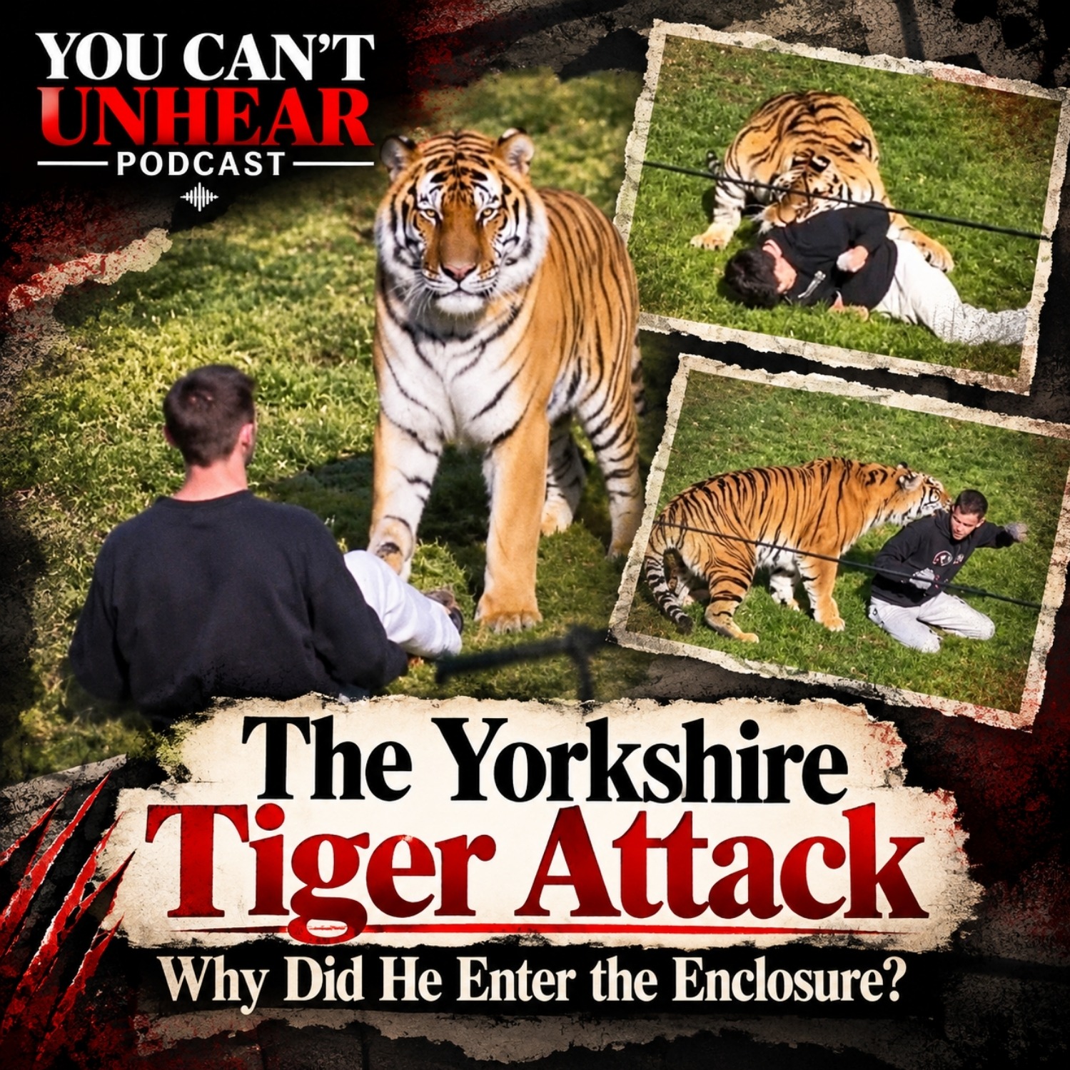 A Day at the Yorkshire Wildlife Park Turned Deadly.. The ALTAI Tiger Attack episode artwork