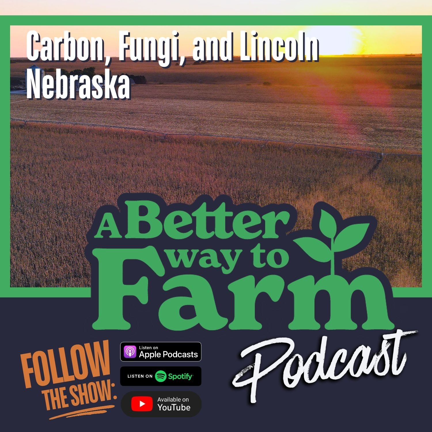 392: Carbon, Fungi, and Lincoln Nebraska