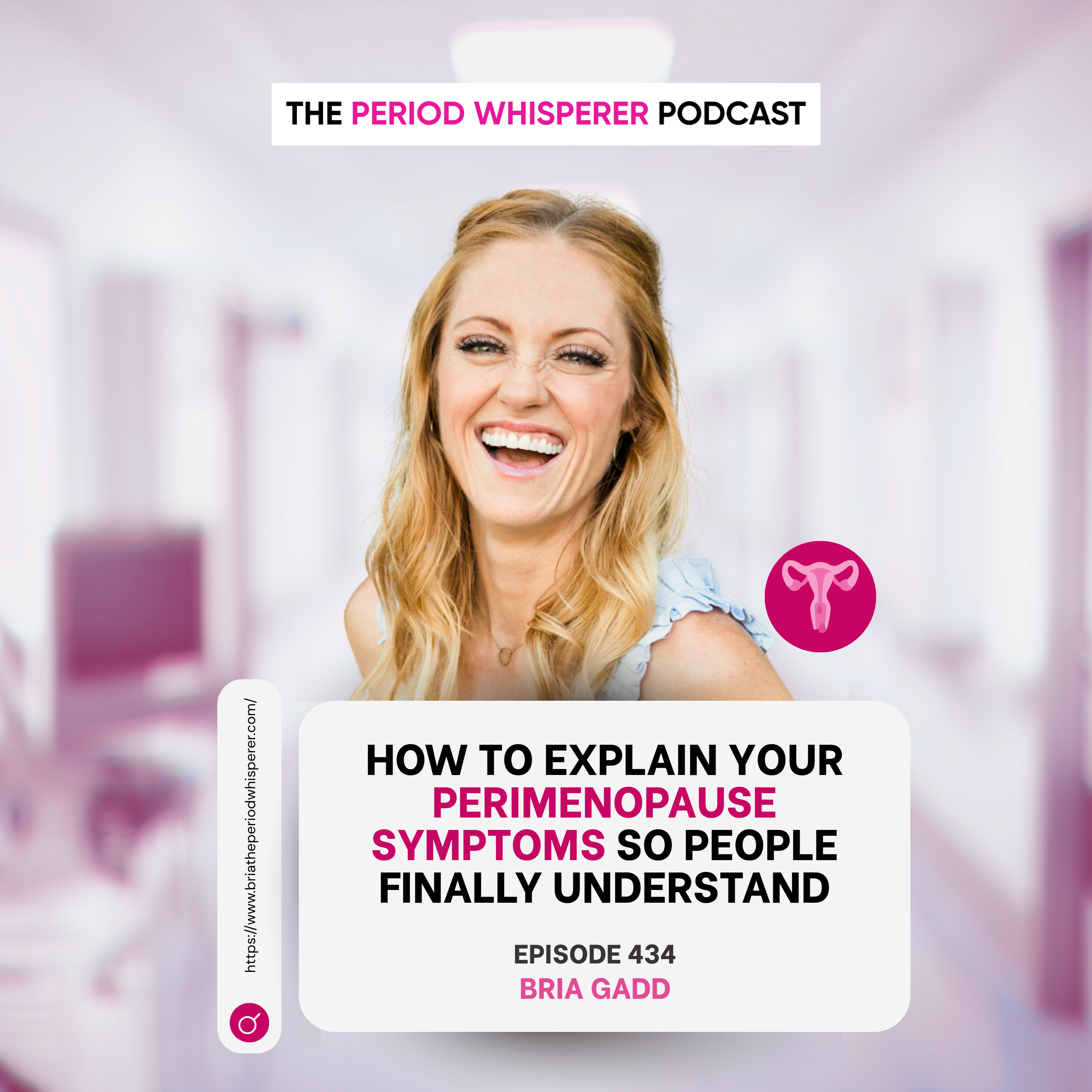 Eps 434: How to Explain Your Perimenopause Symptoms So People Finally Understand