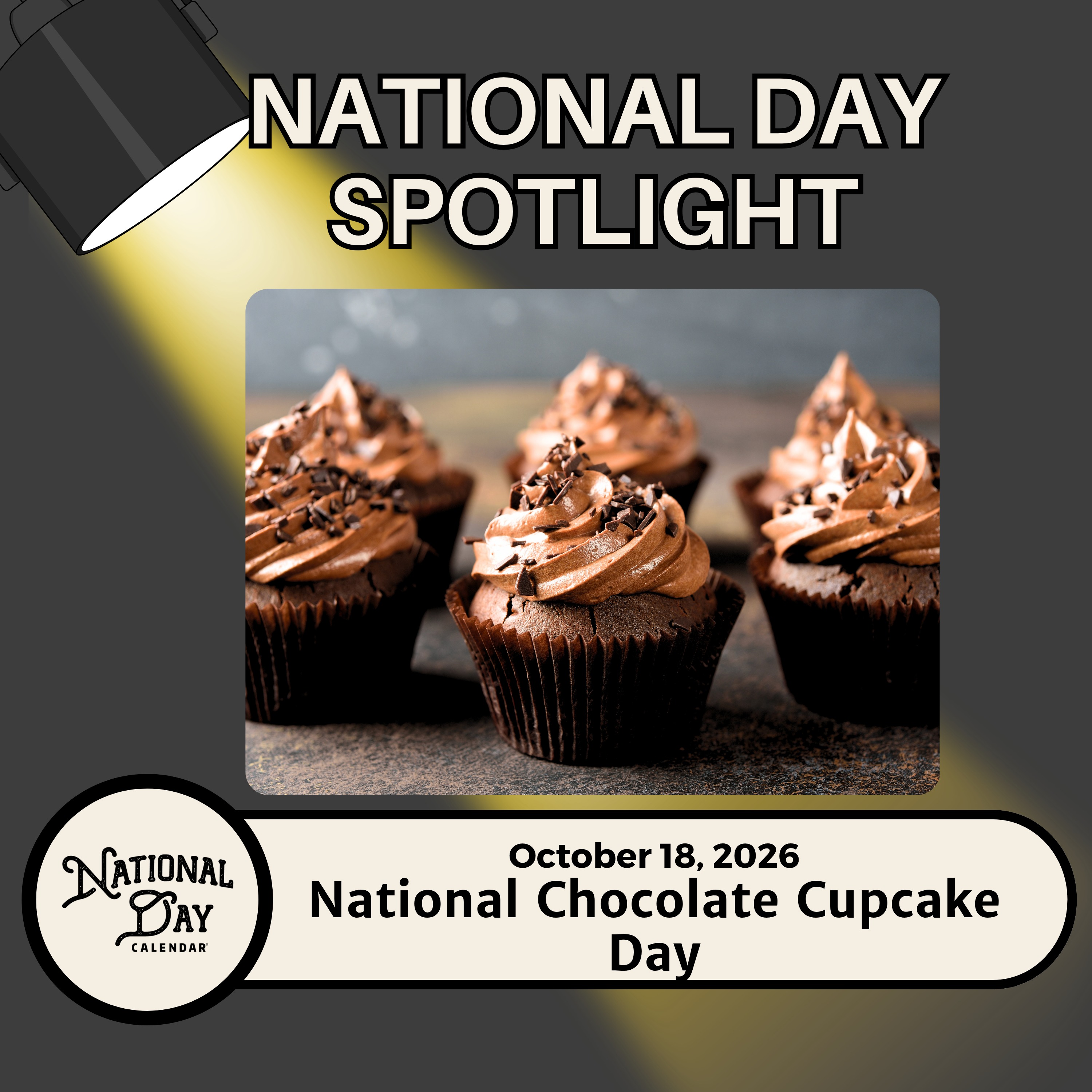 National Chocolate Cupcake Day