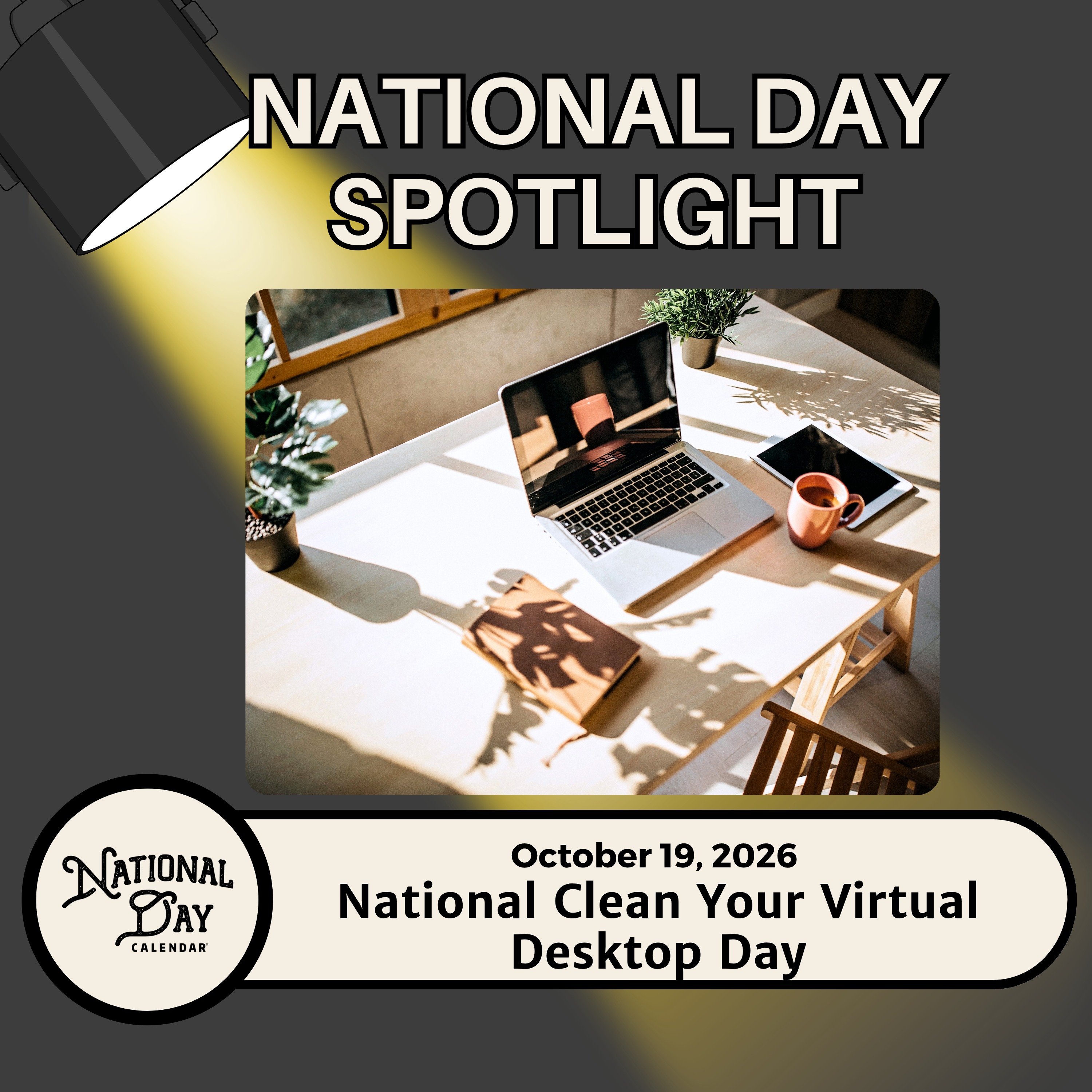 National Clean Your Virtual Desktop Day episode artwork