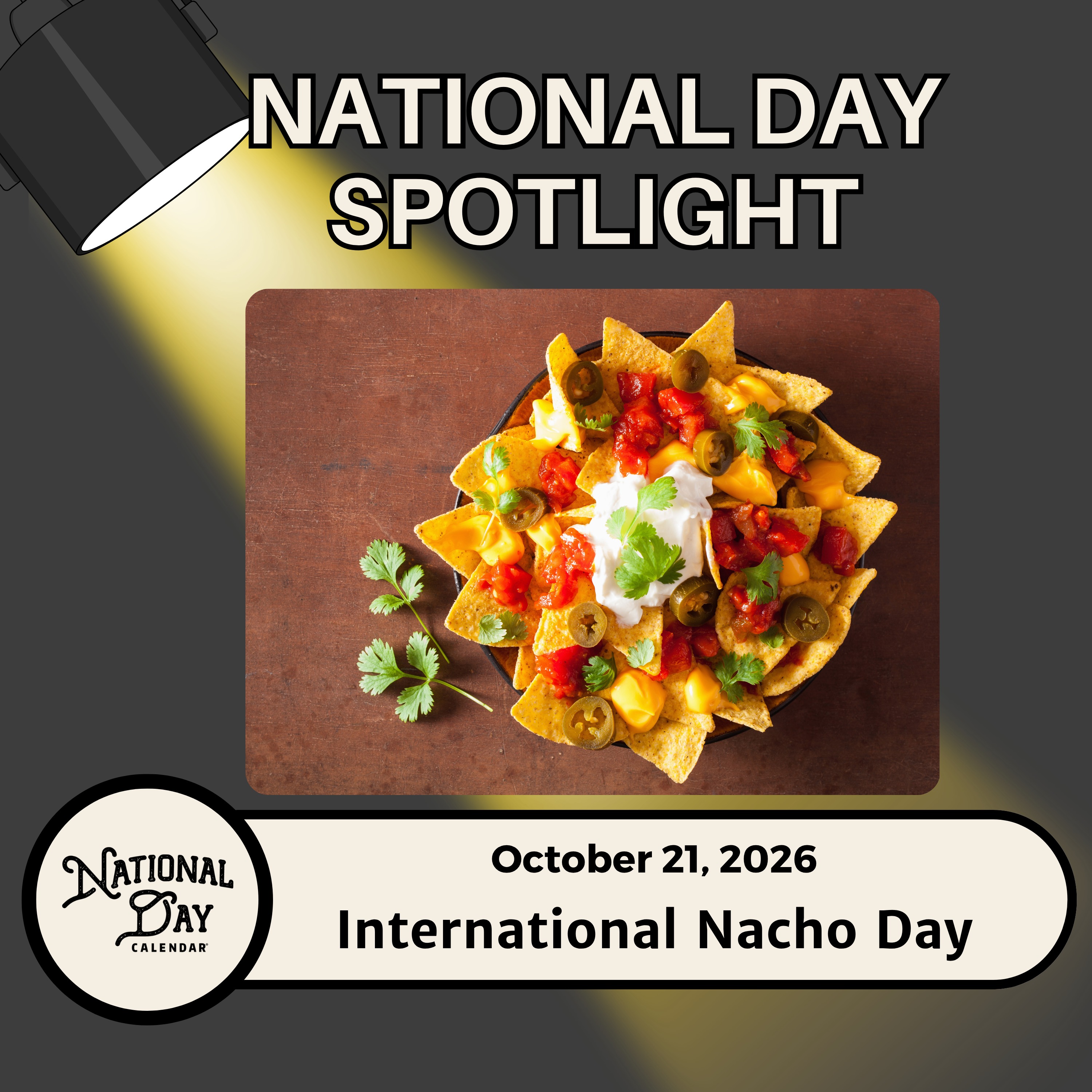 International Nacho Day episode artwork
