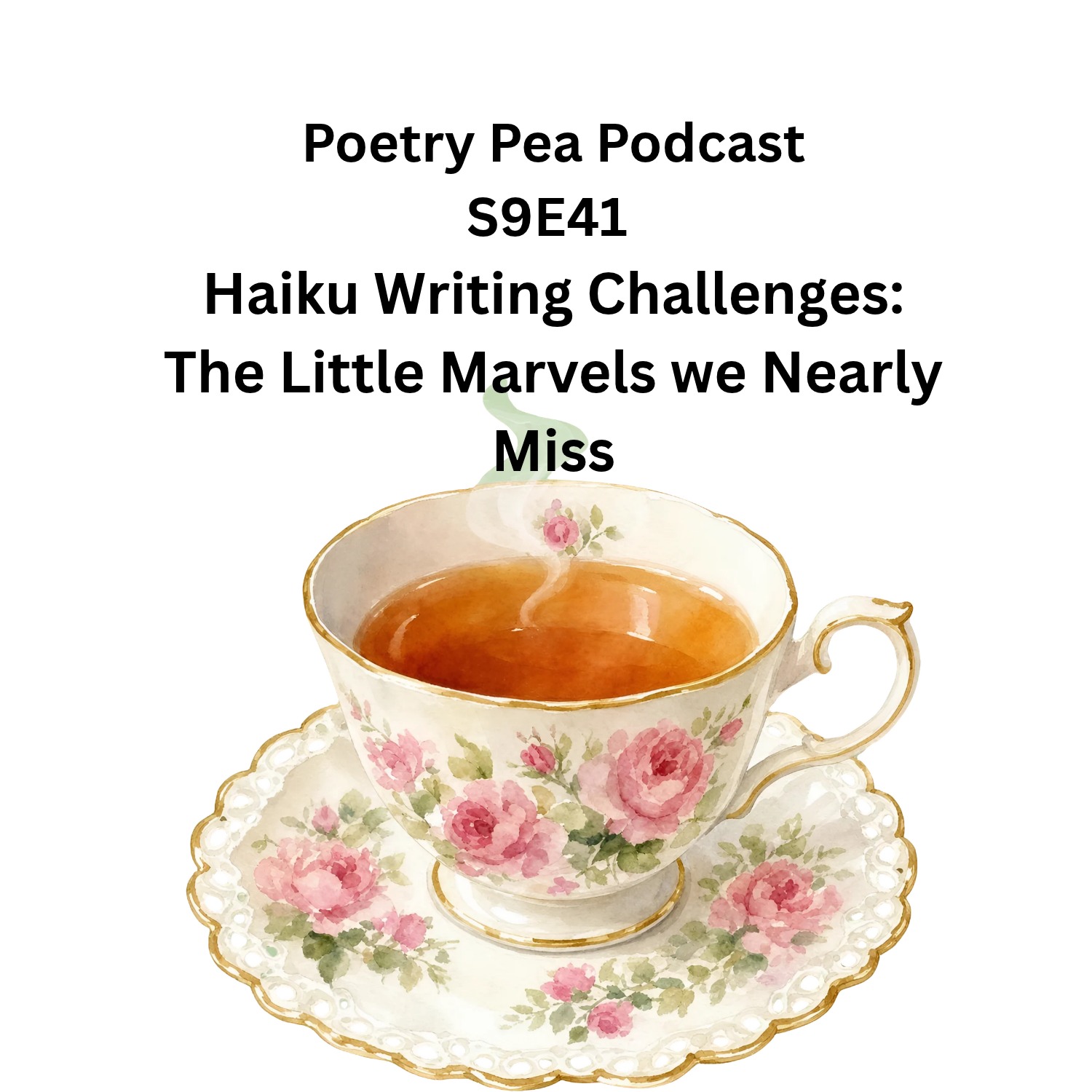 S9E41 Haiku Writing Challenges - The Little Marvels We Nearly Miss episode artwork