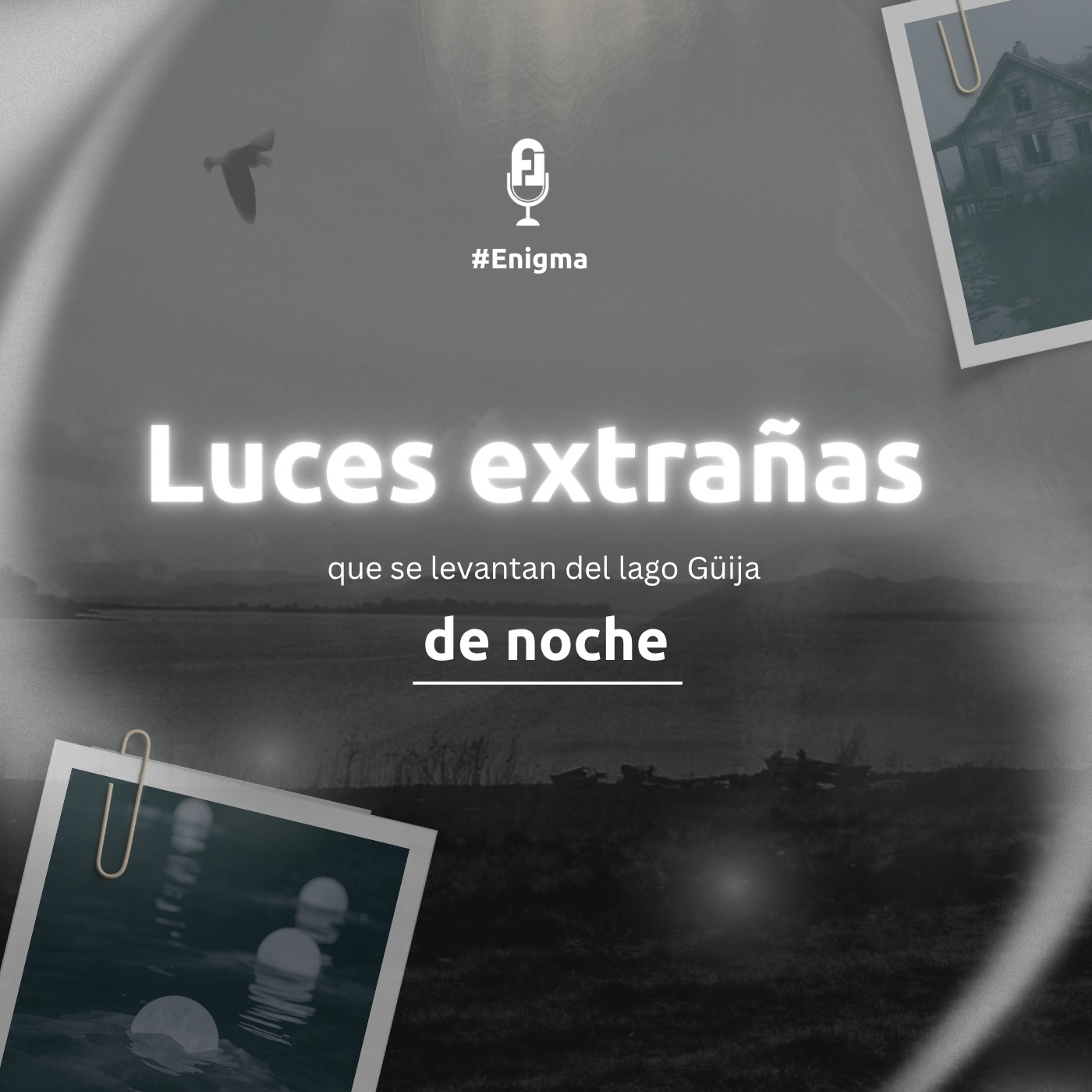 Portada de Frecuencia Libre