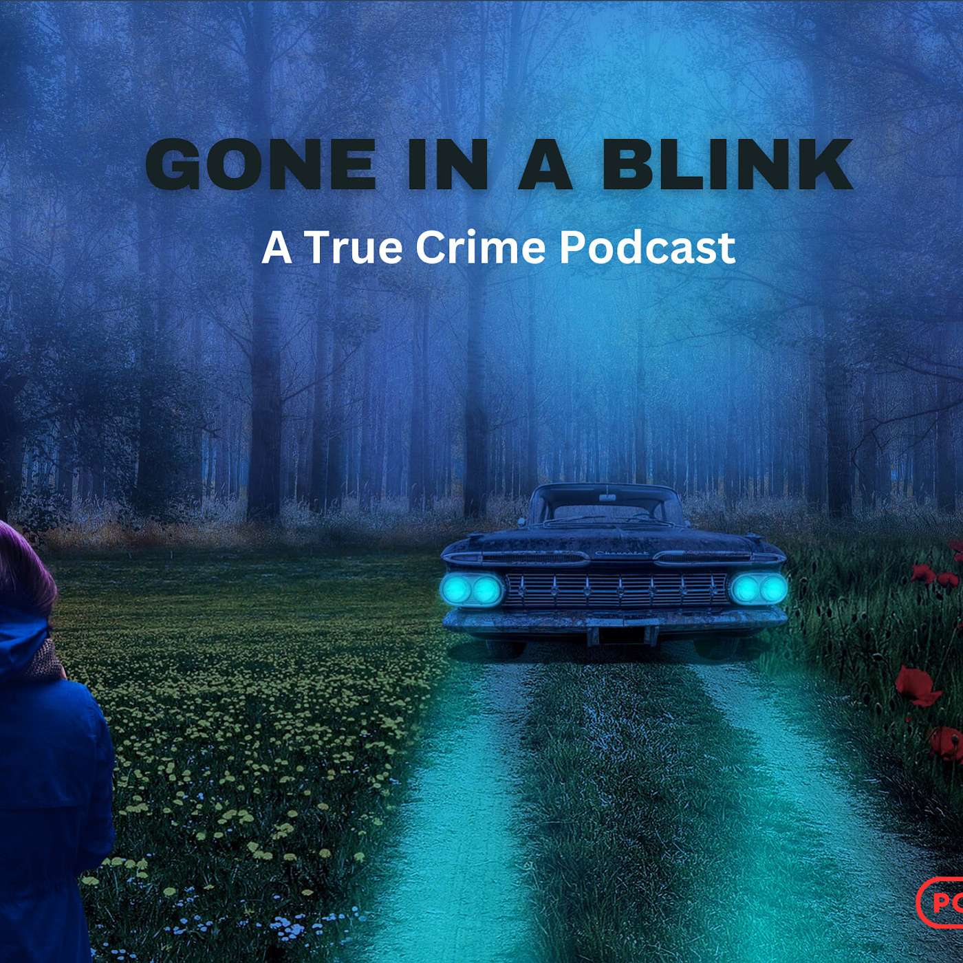 The Murder of Amy Mihaljevic episode artwork