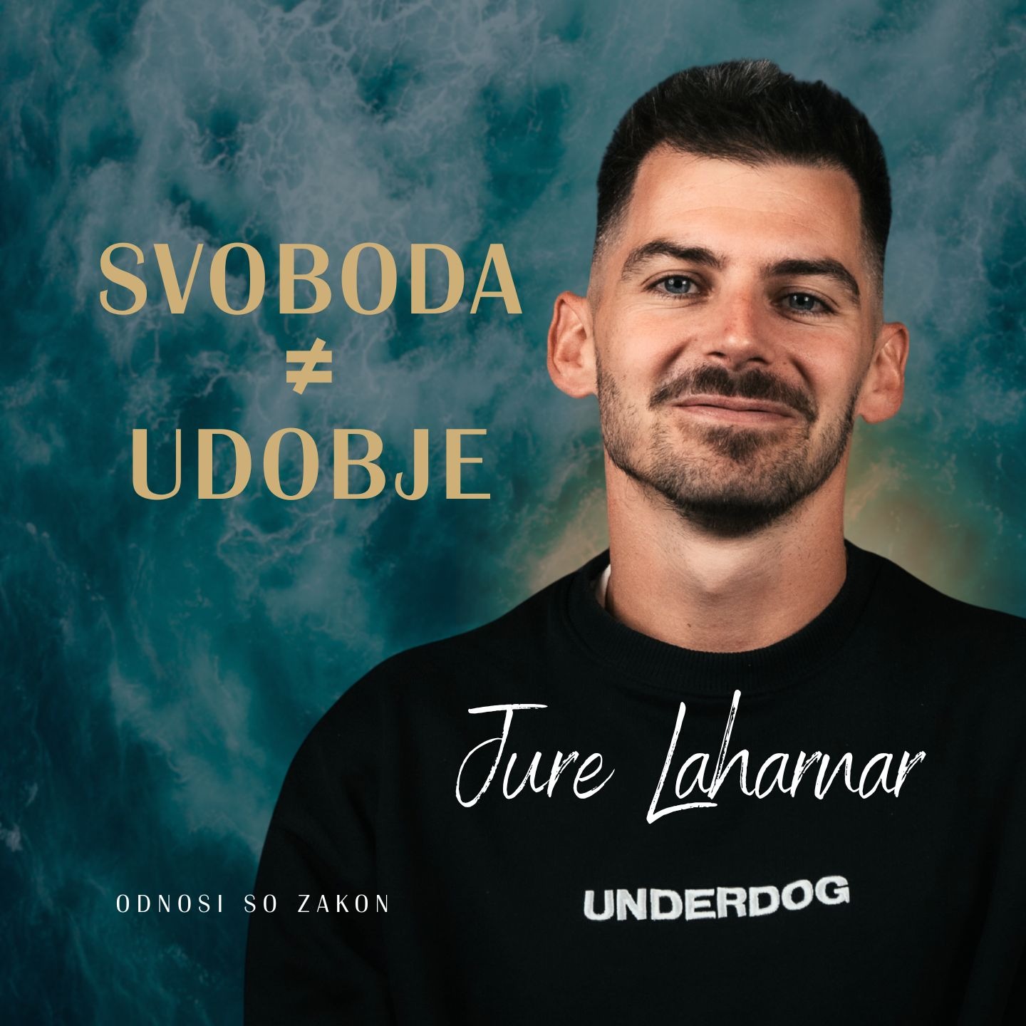 SVOBODA ≠ UDOBJE - Jure Laharnar (Underdog) | #OdnosiSoZakon | Podkast #090
