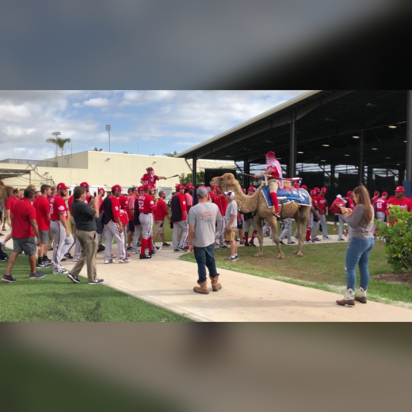 Artwork for Camels for Nats; Caps Top Metro; Goodbye Kirk; Wiz Lose to Dubs